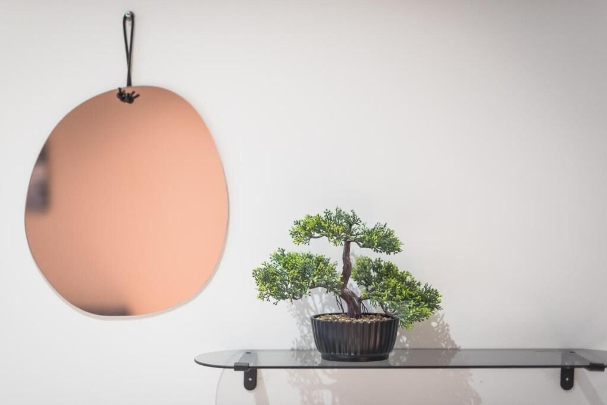 Apartment Deluxe One Bedroom