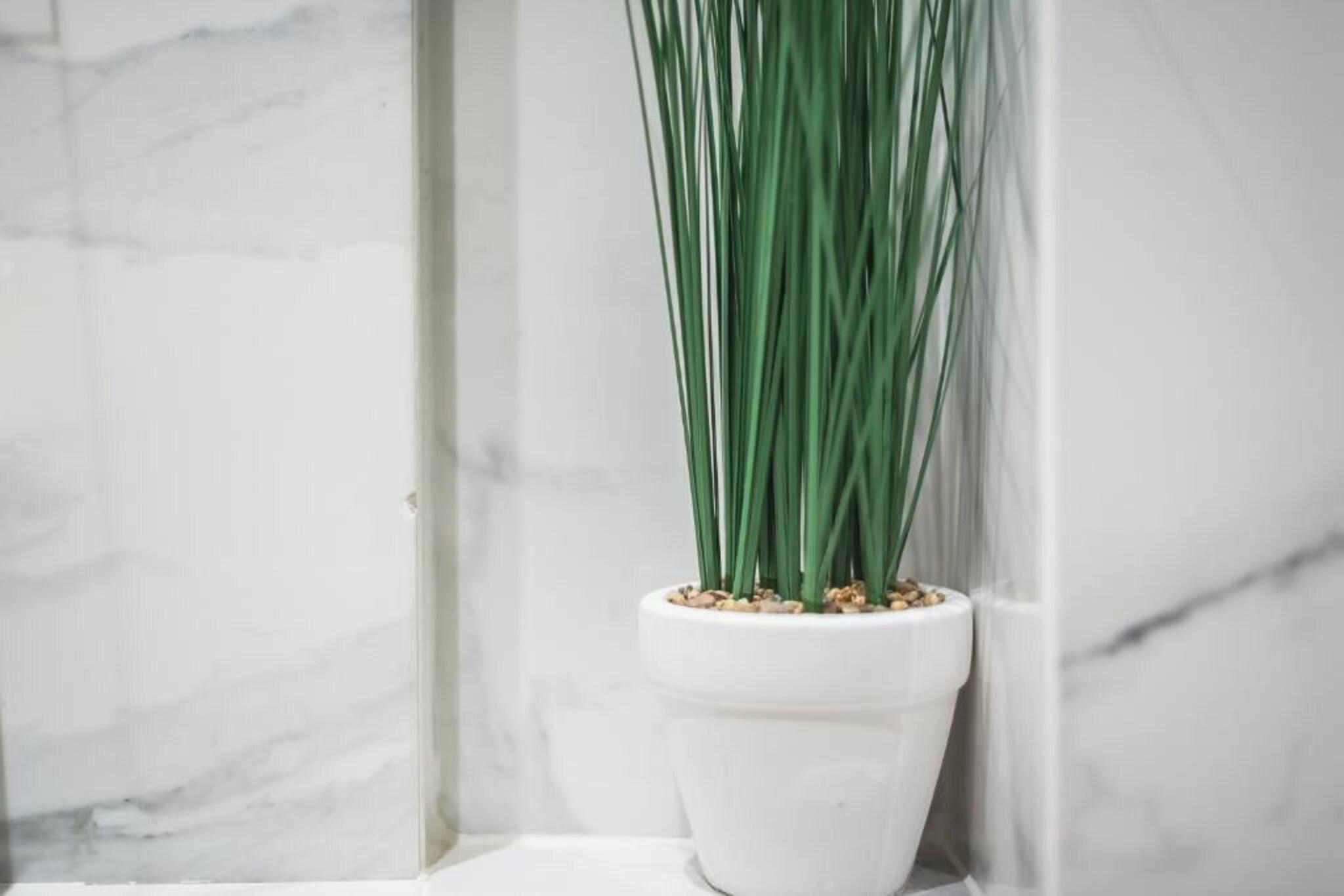 Apartment with Double Bed