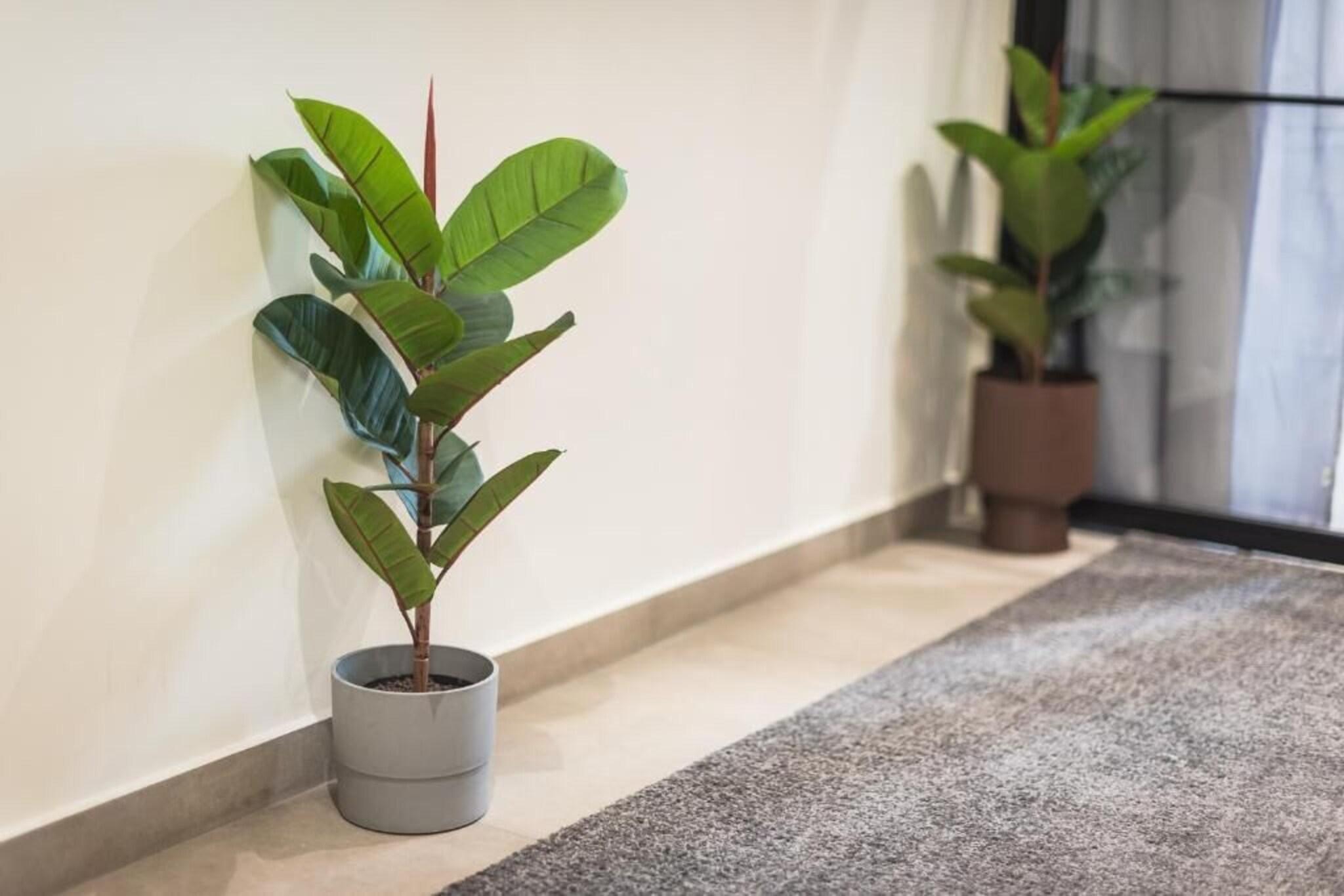 Studio with Double Bed