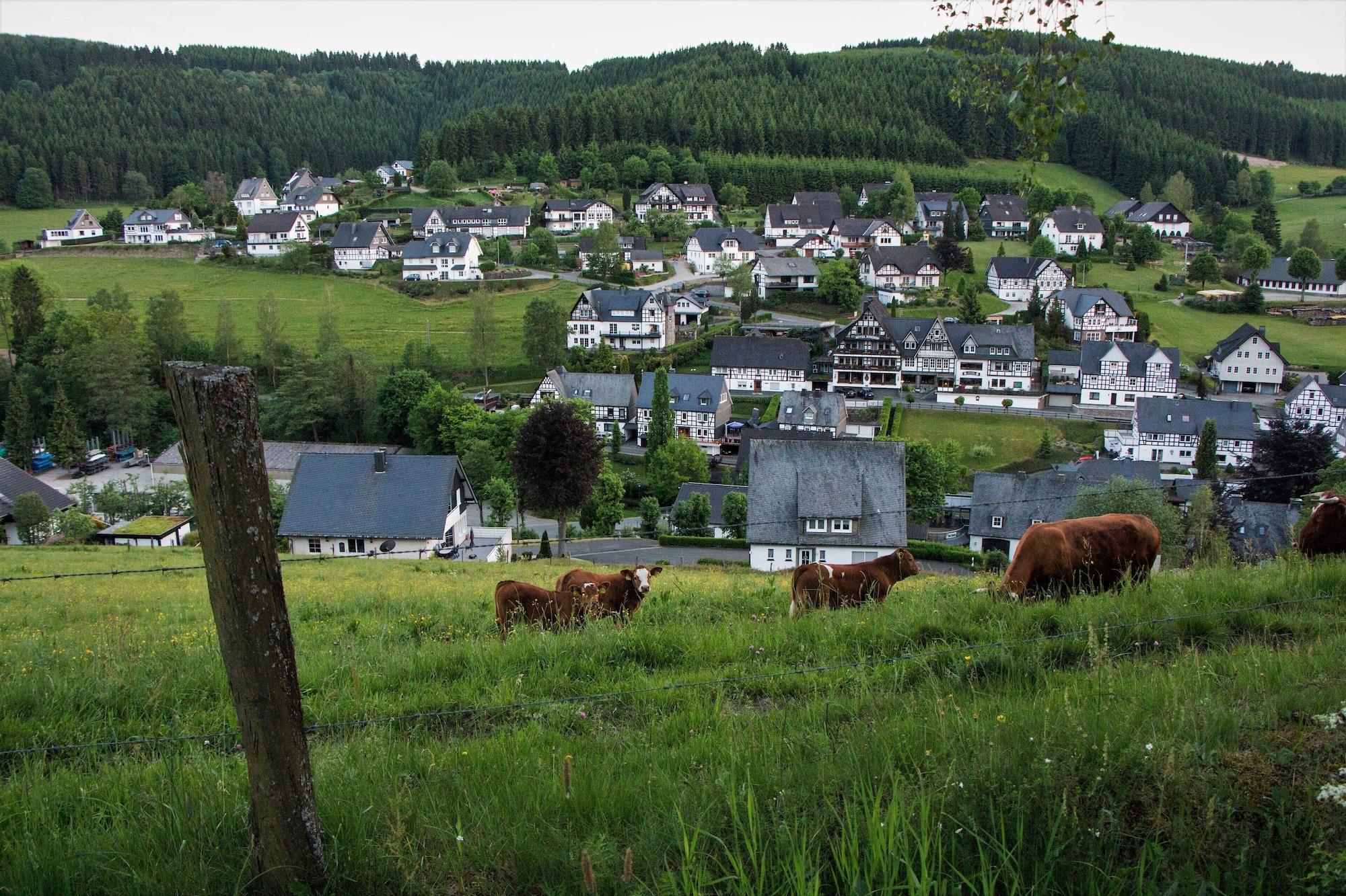 General View