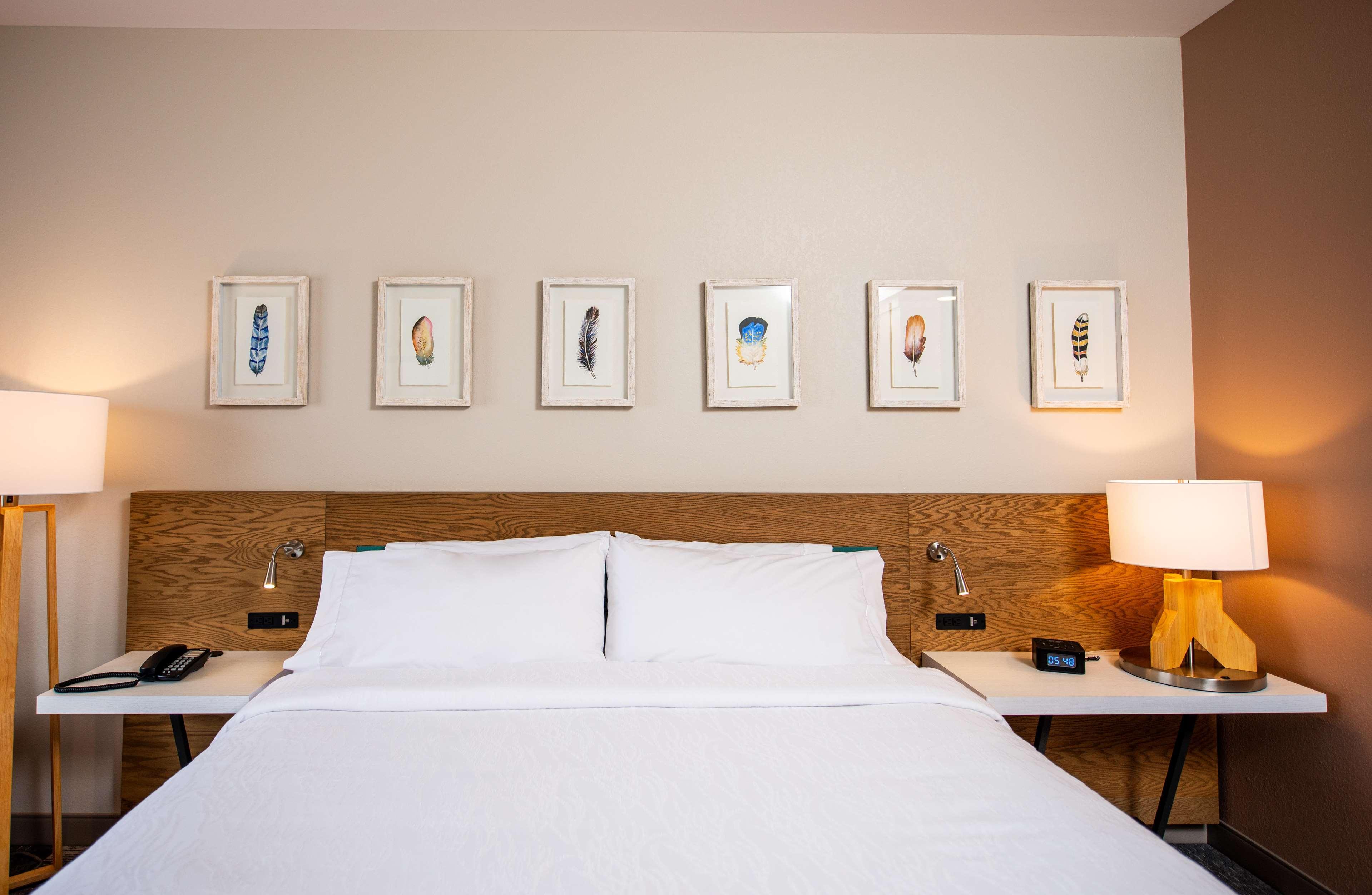 Double Accessible King Size Bed