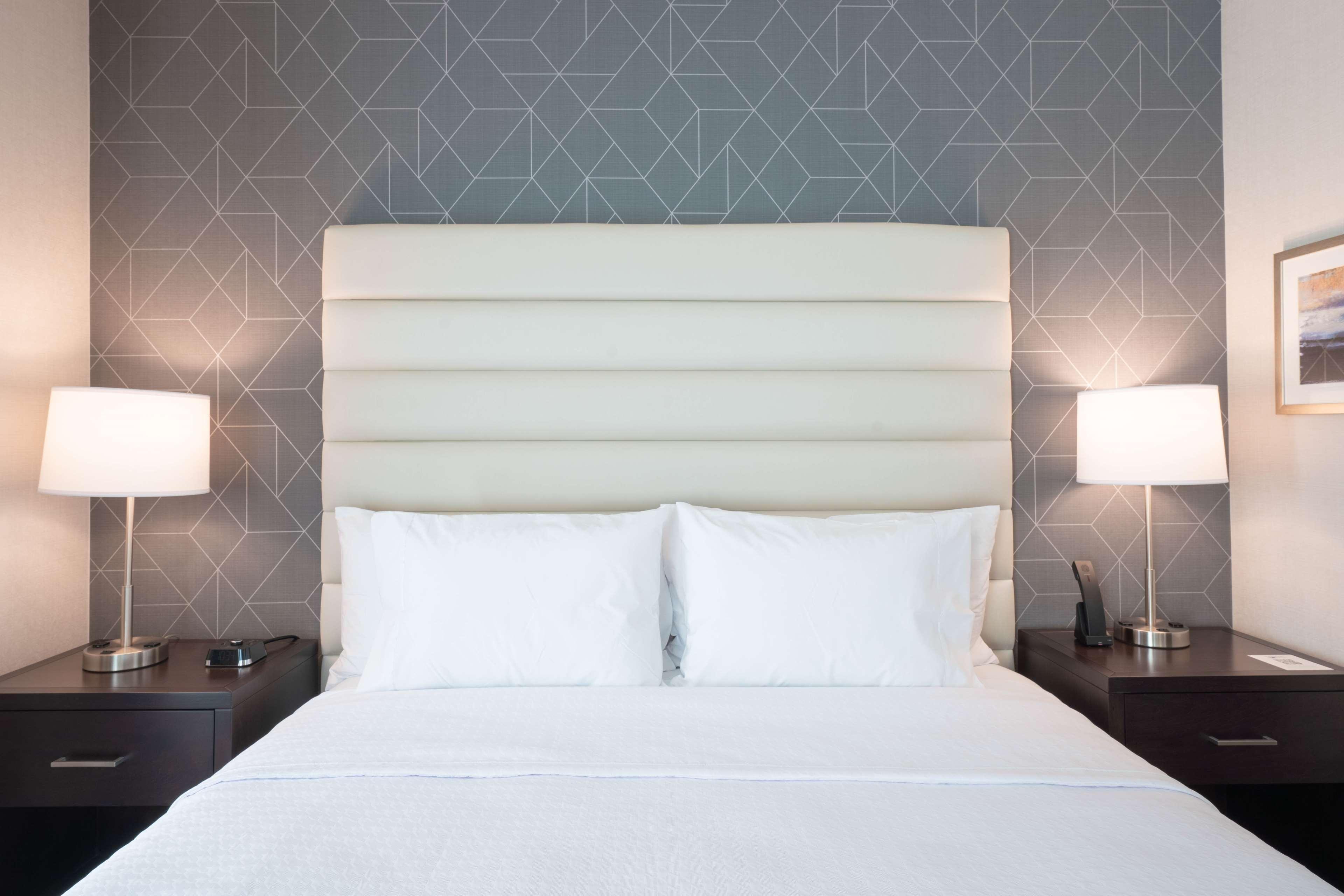 Suite King Bed One Bedroom 