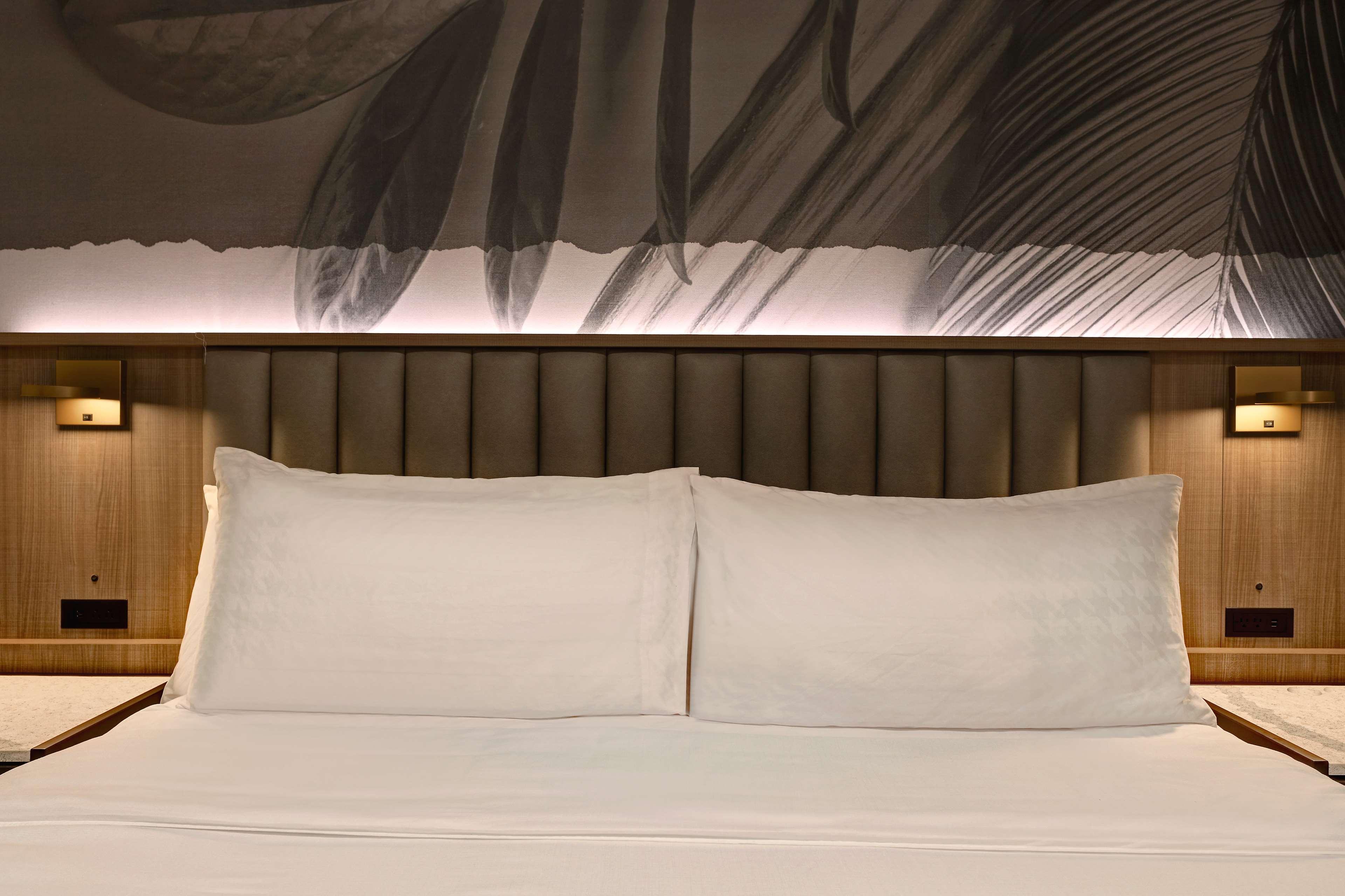 Suite King Bed One Bedroom 