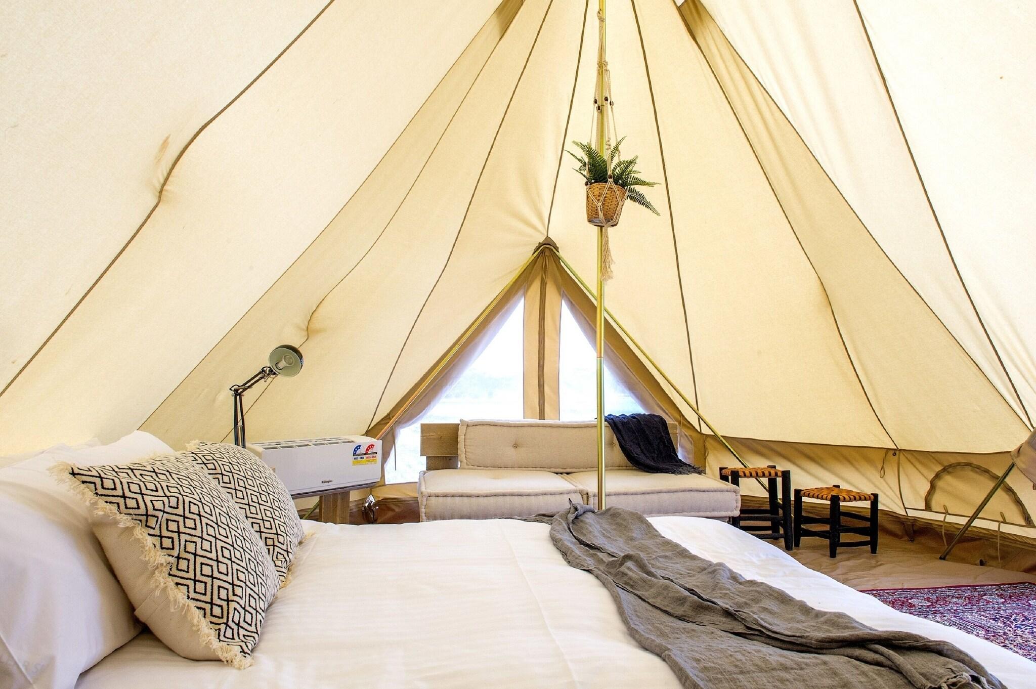Tent Queen Size Bed