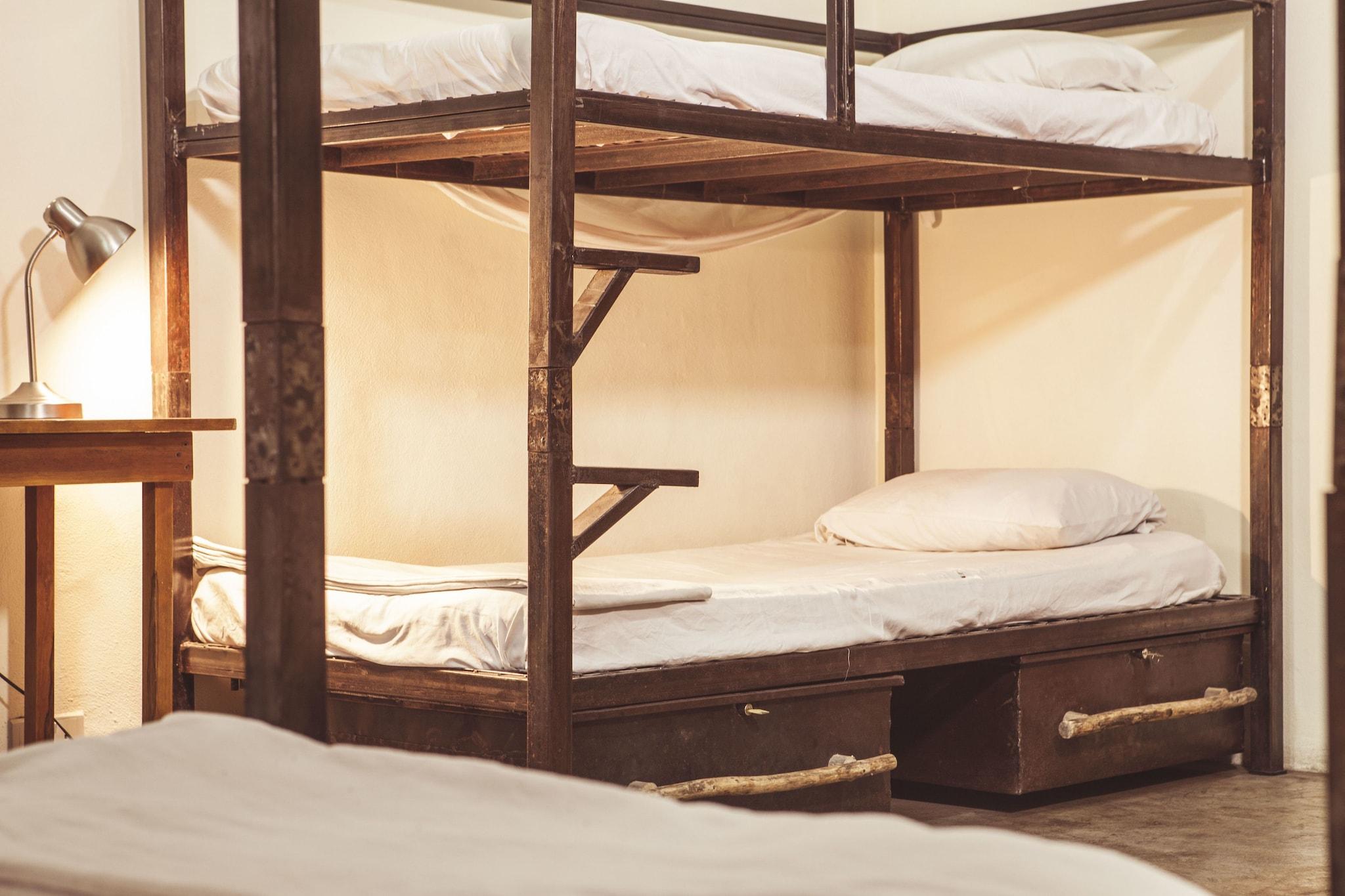 Bed in Dormitory Bunk Bed