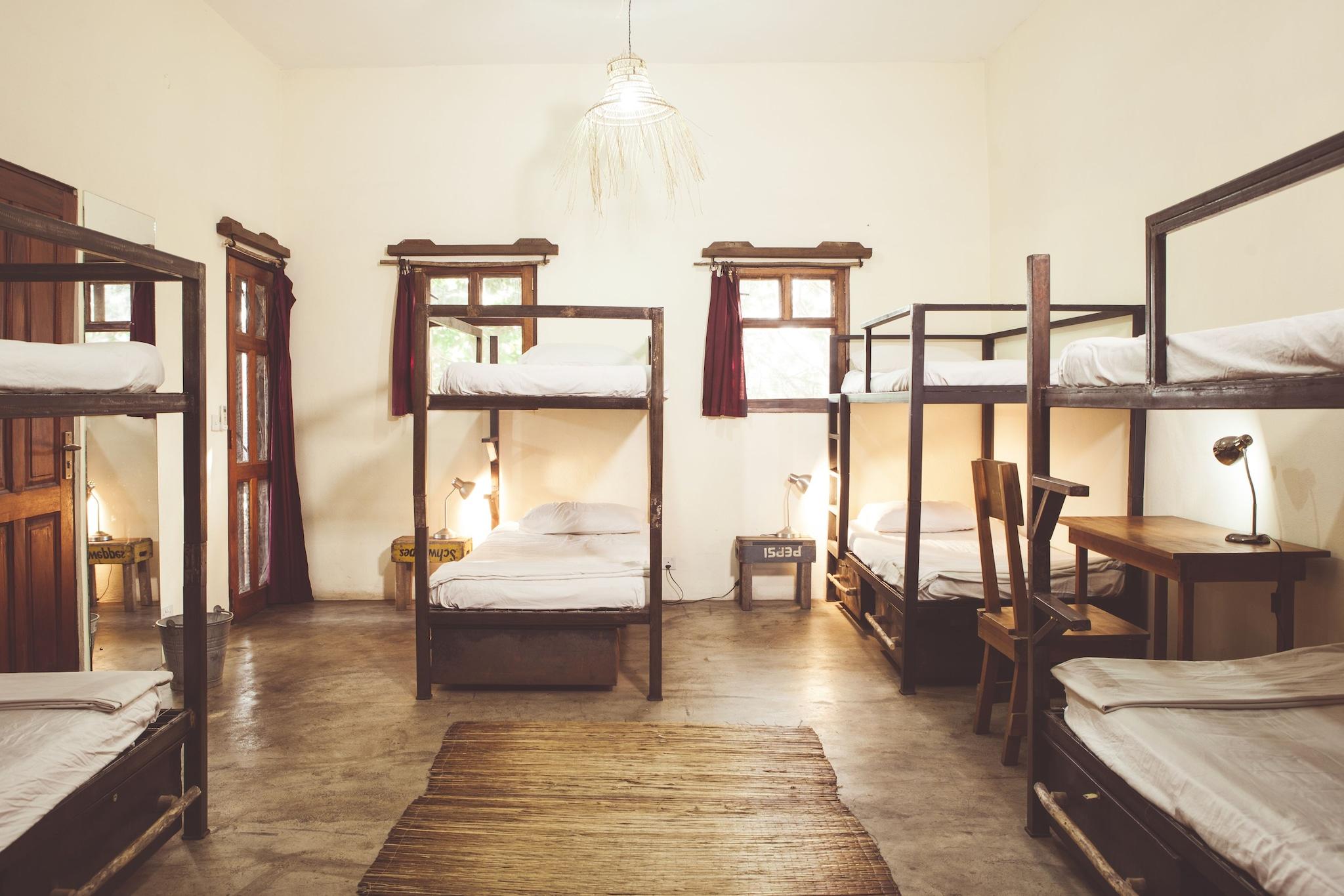 Bed in Dormitory Bunk Bed