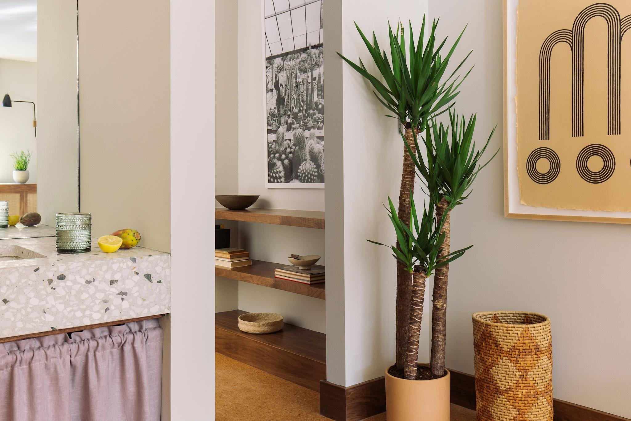 Double Two Queen Beds