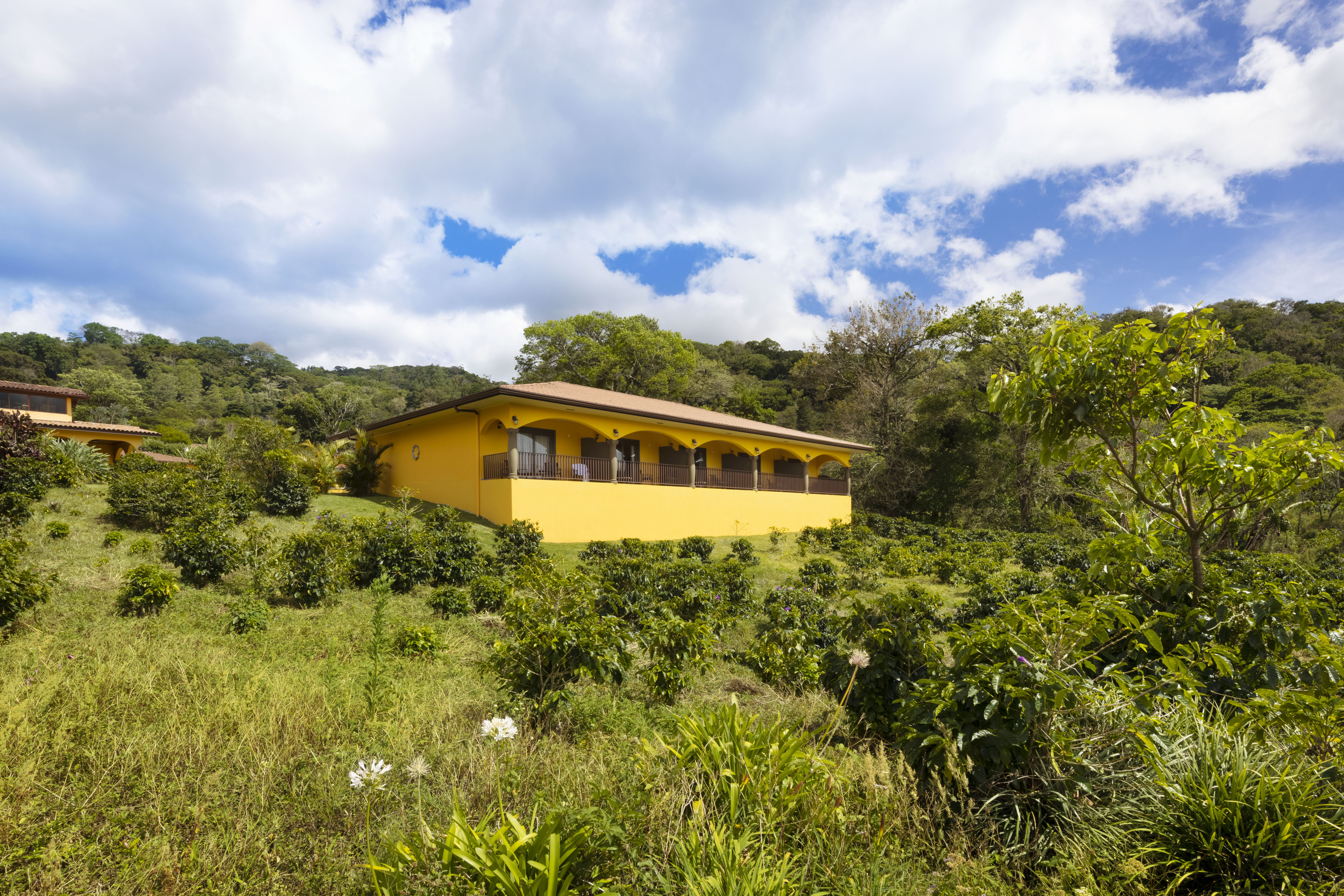 Suite Premium King Bed