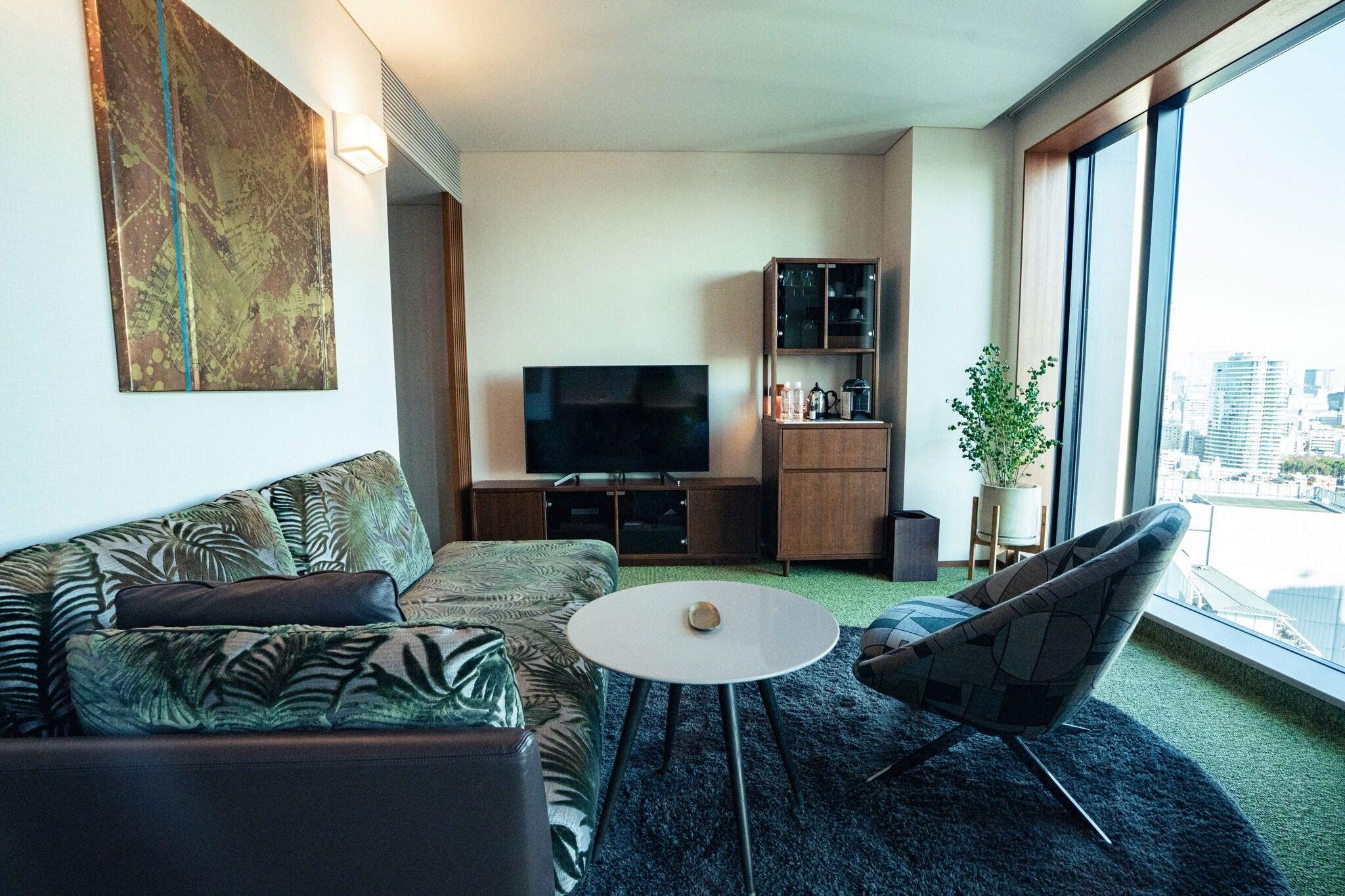 Family Room City View