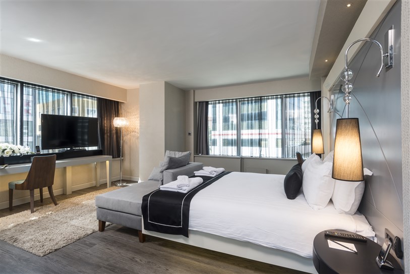 Suite Accessible King Size Bed