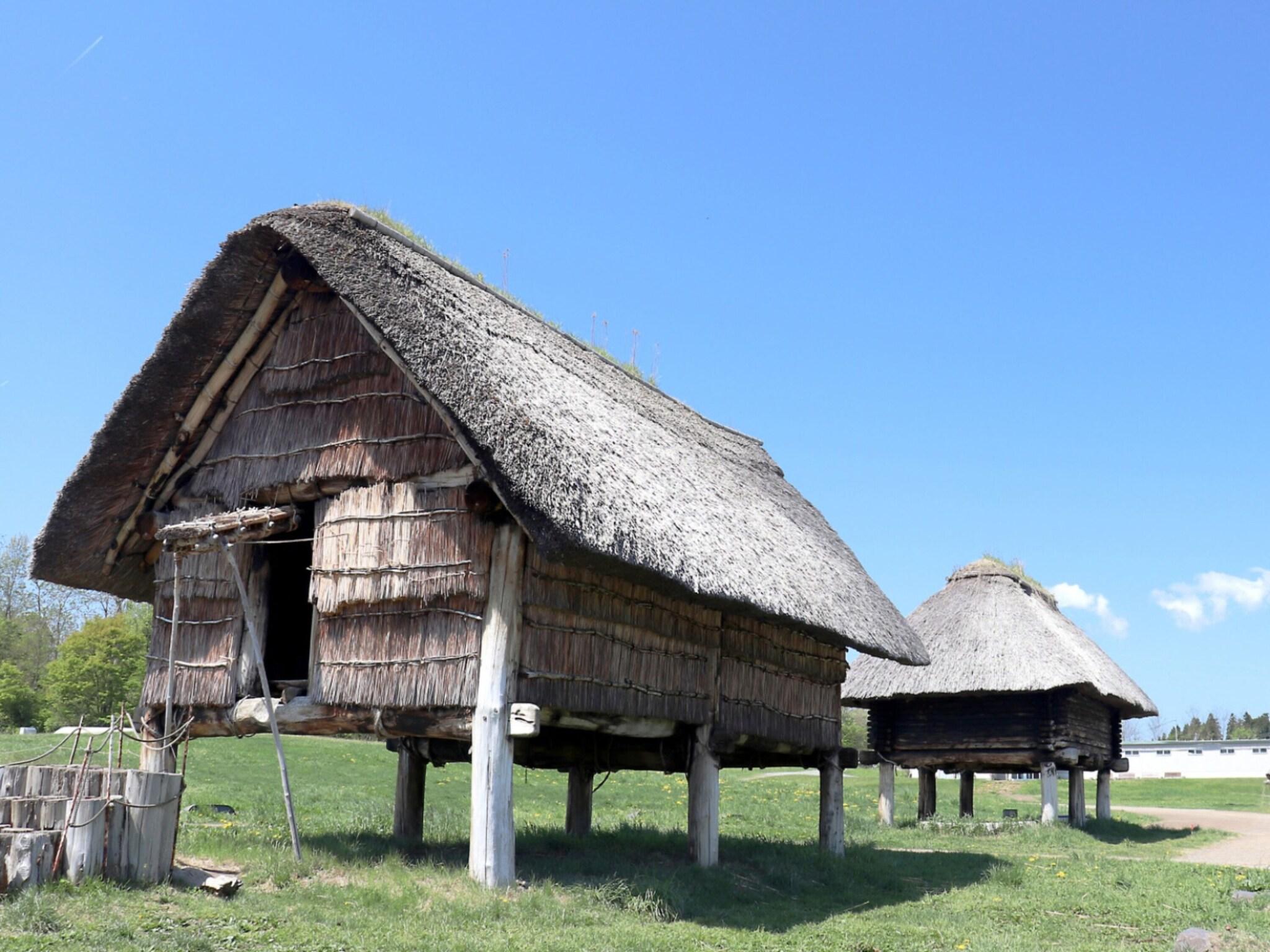 General View