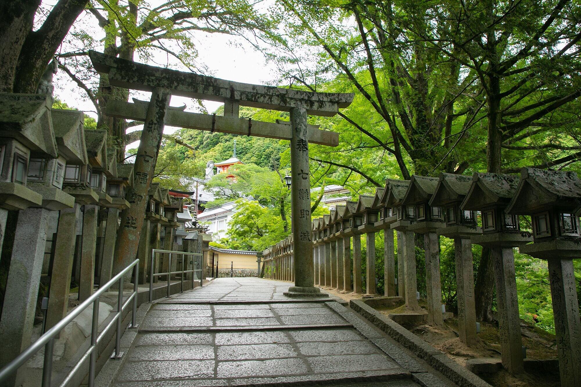 General View
