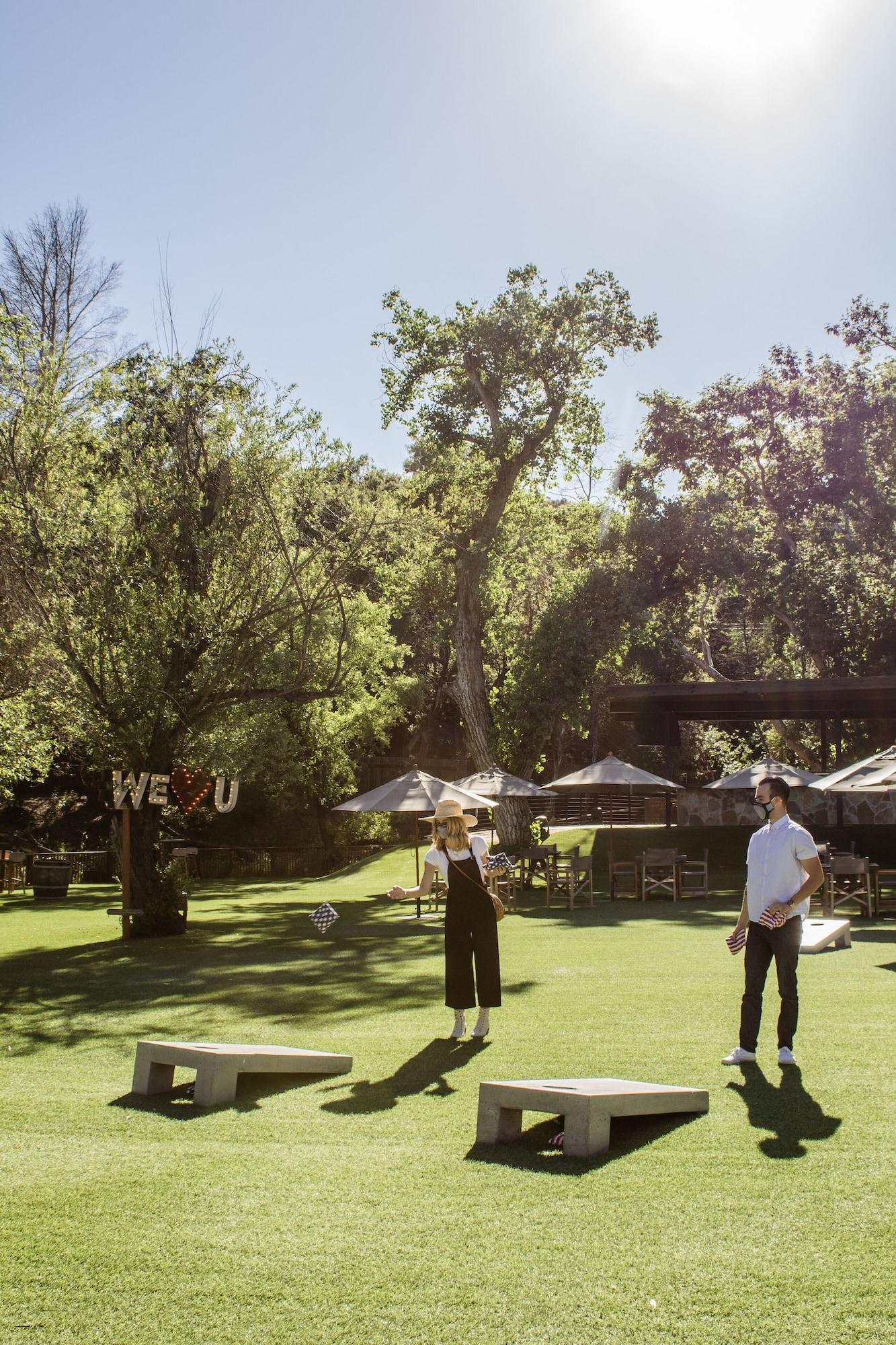 Sports and Entertainment