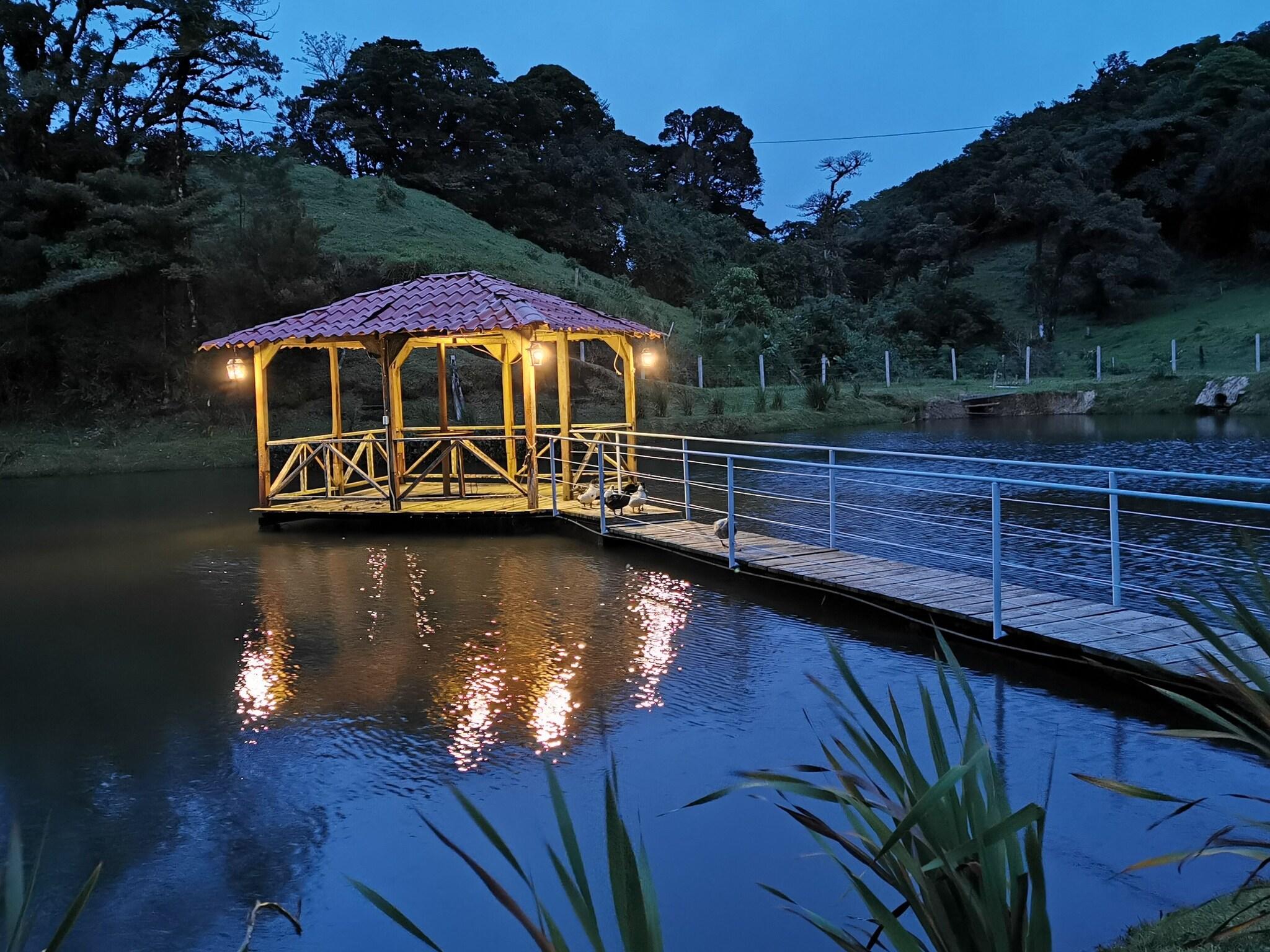 Family Room Mountain View