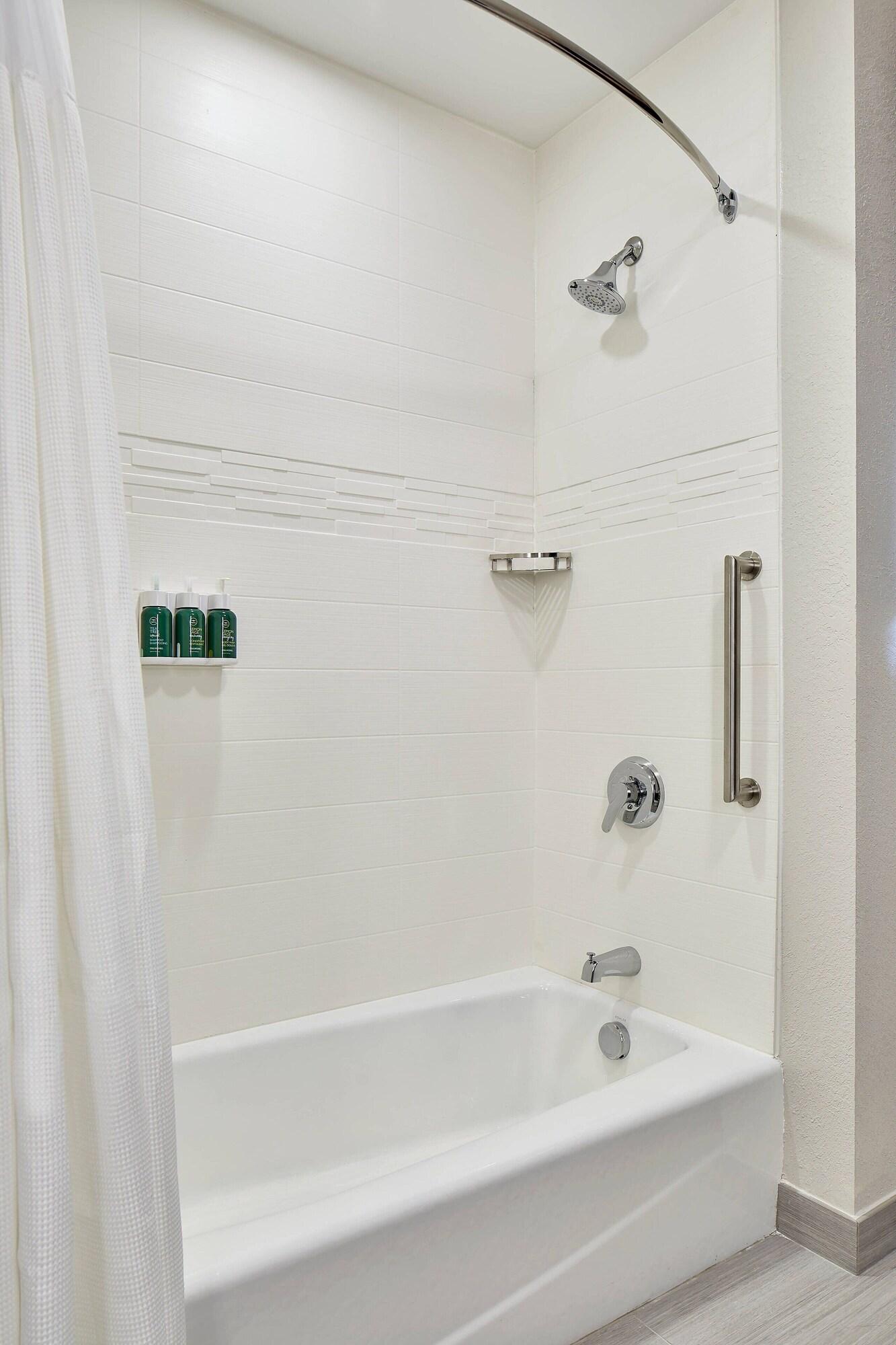 Suite King Bed One Bedroom 