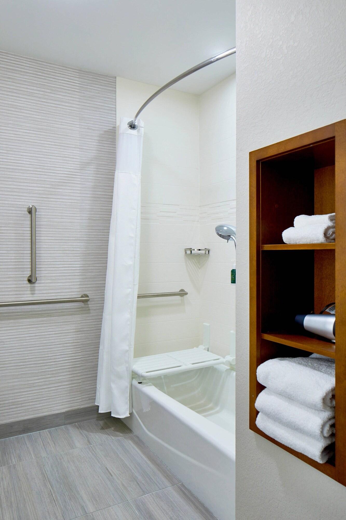 Suite King Bed One Bedroom 