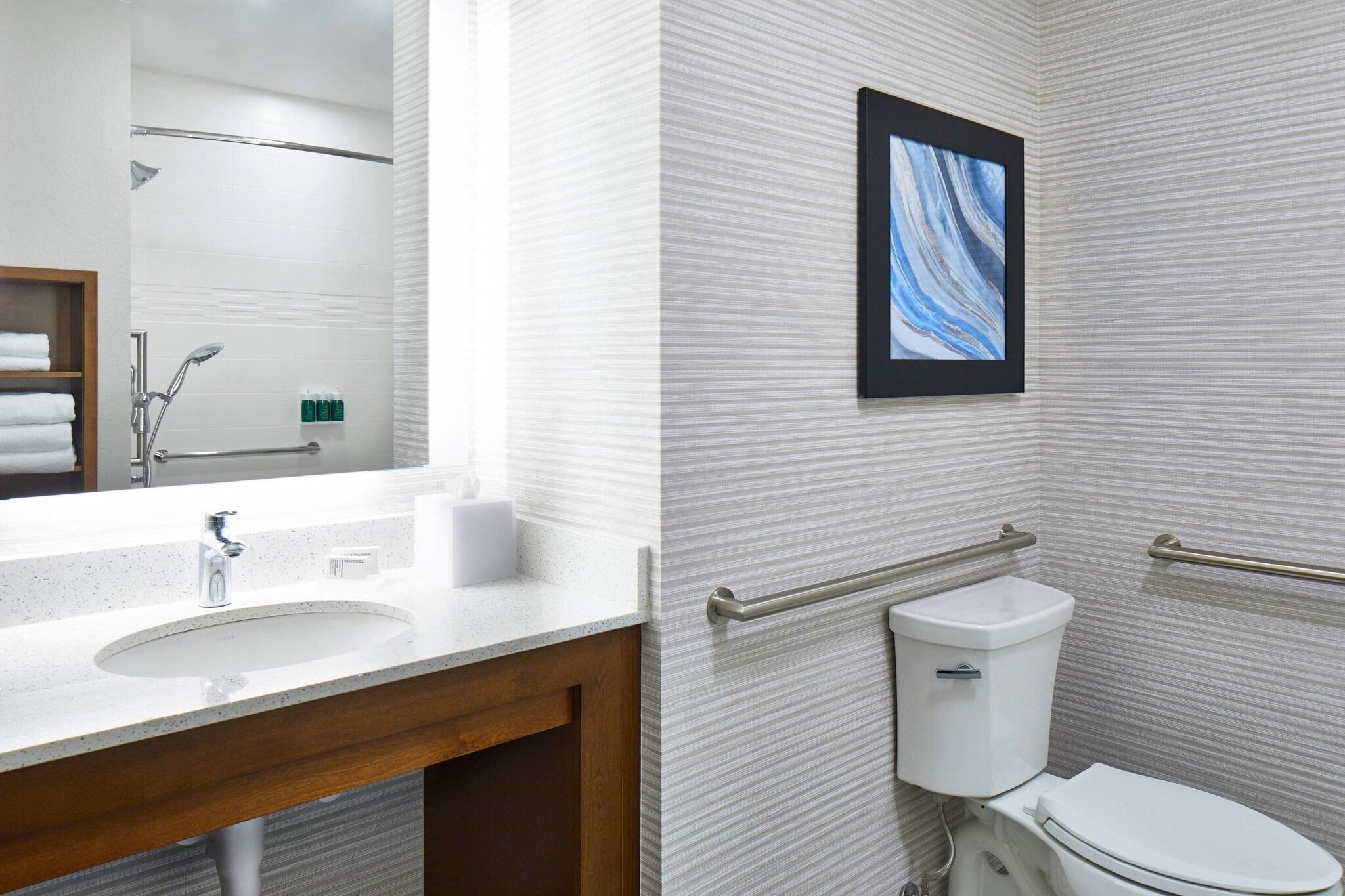 Suite King Bed One Bedroom 