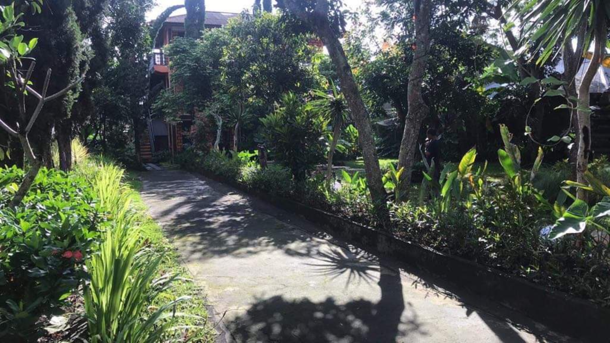 Family Room Capacity 4