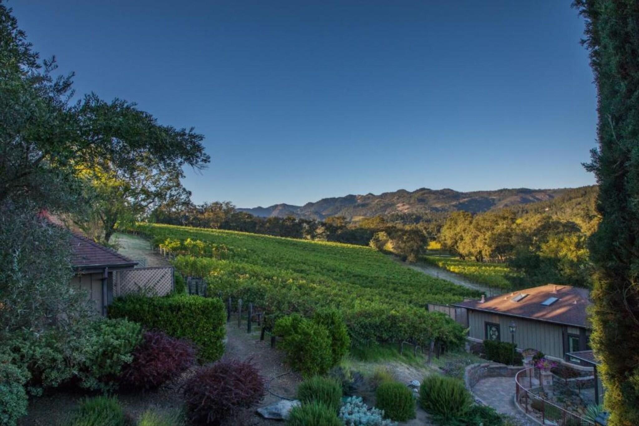 Double Deluxe with Views