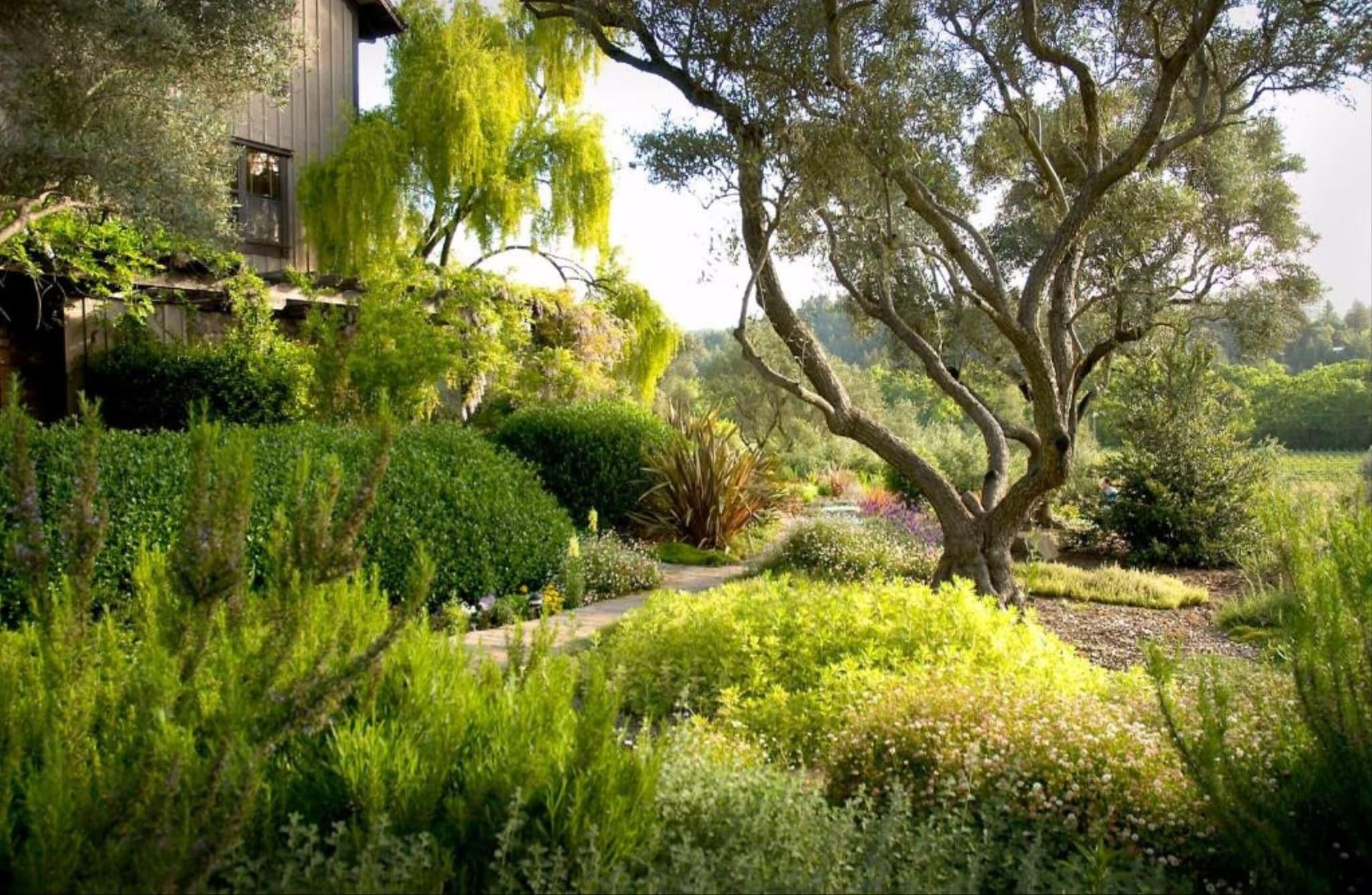 Double Deluxe Garden View