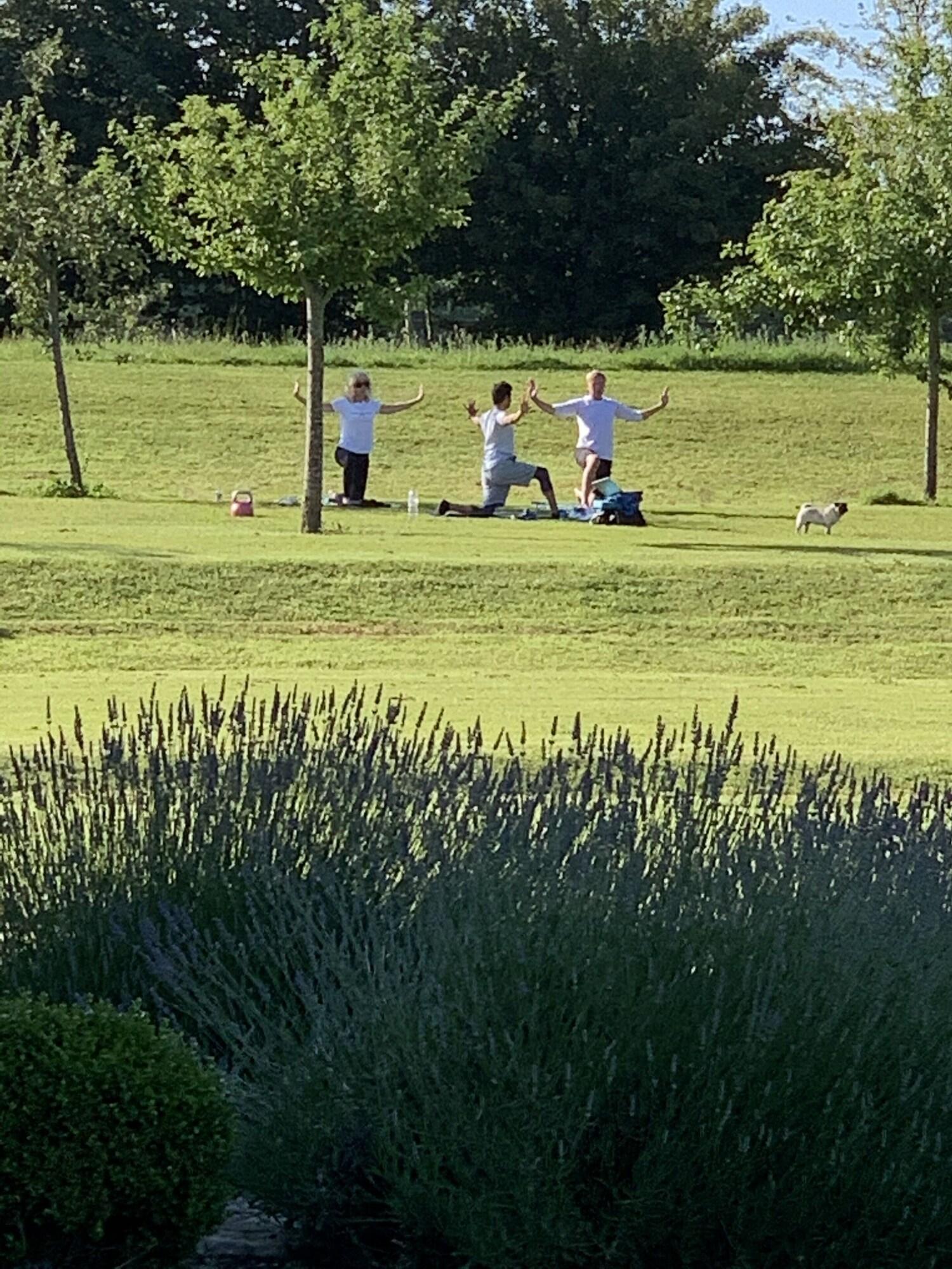 Sports and Entertainment