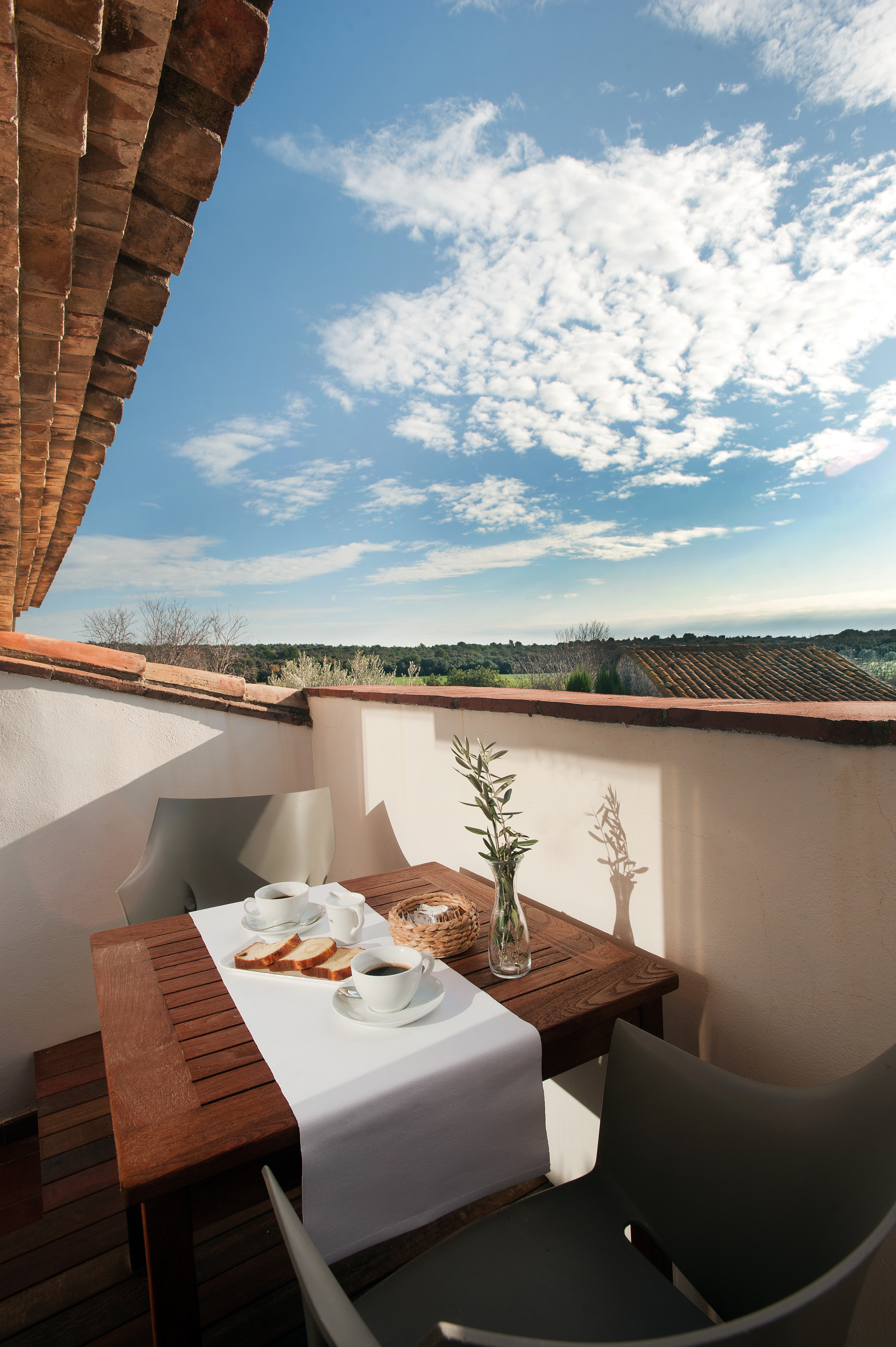 Junior Suite with Terrace