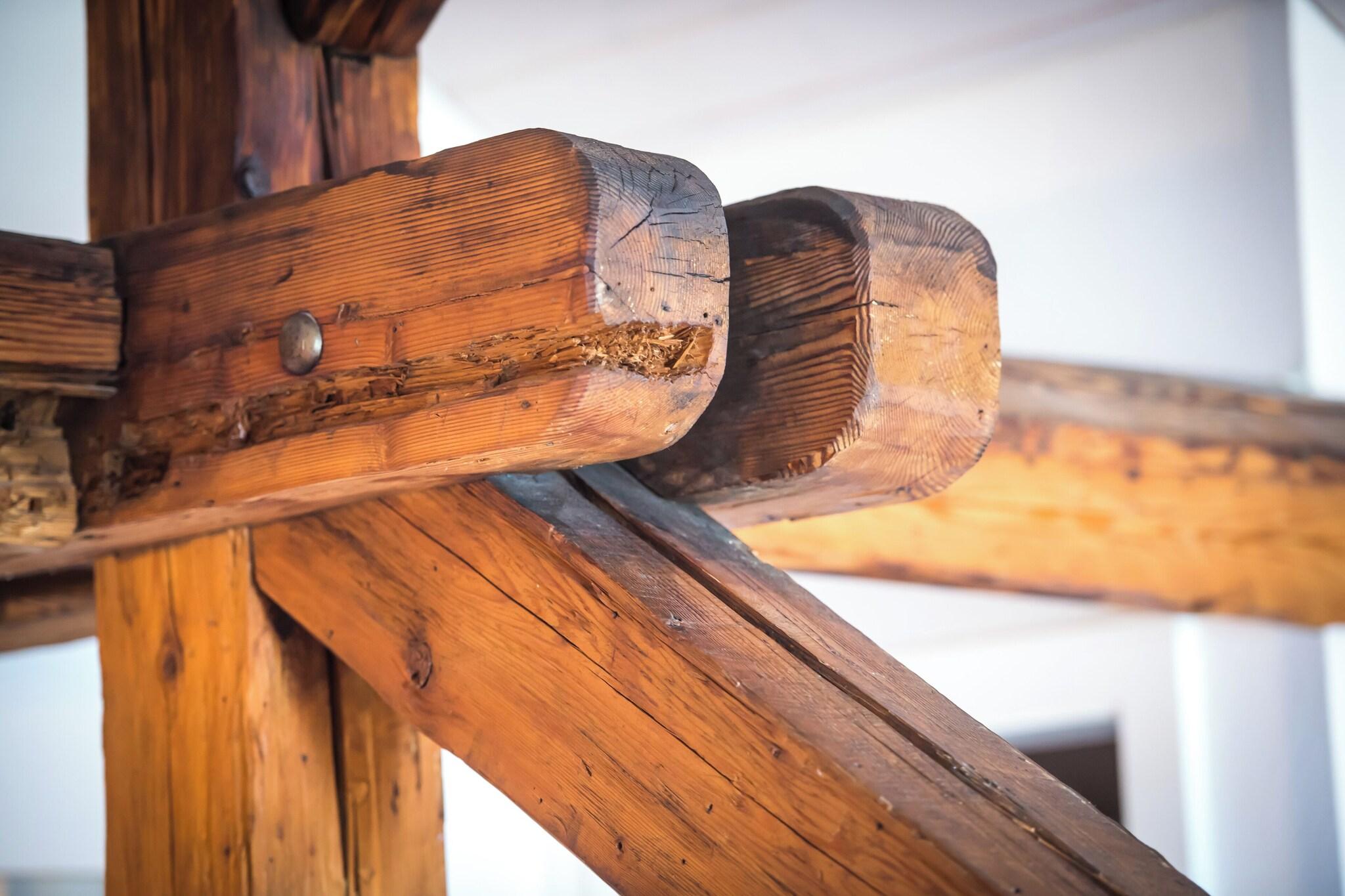 Double Executive King Bed