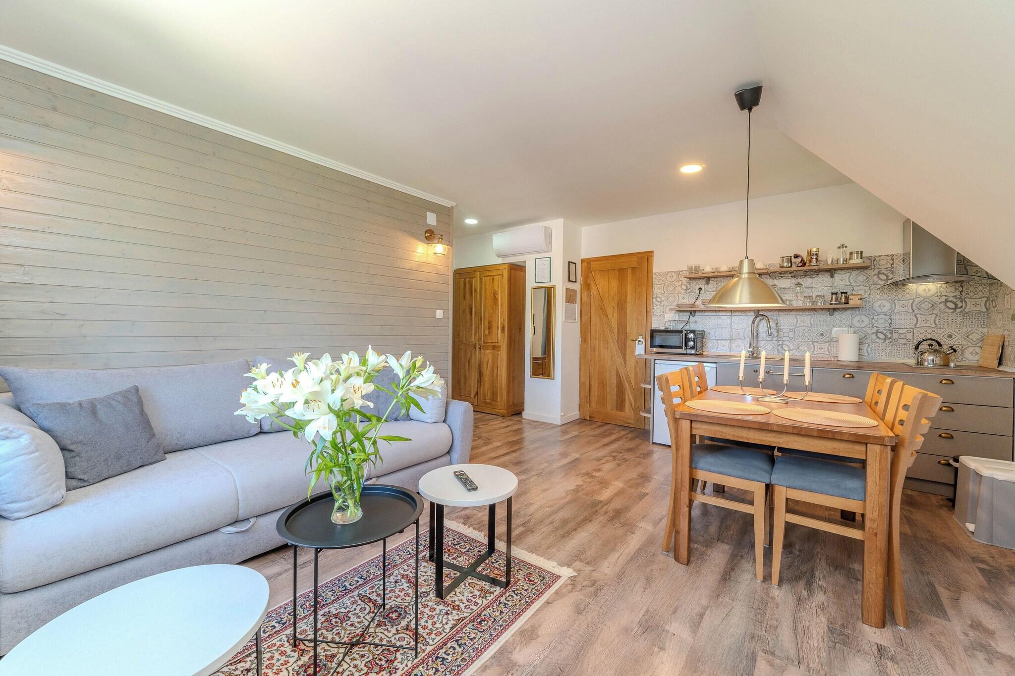 Apartment Queen Size Bed