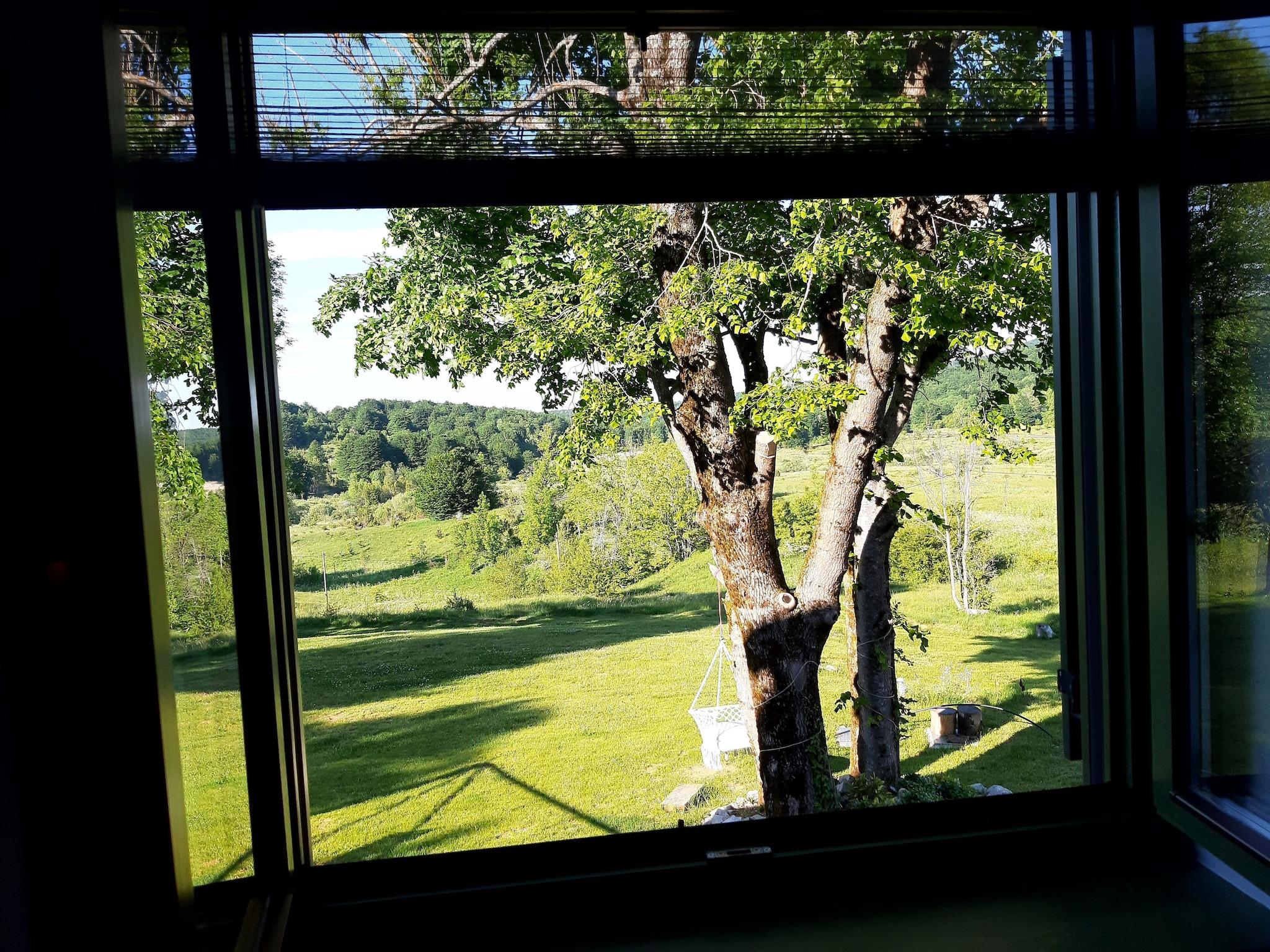 Double Deluxe Queen Bed