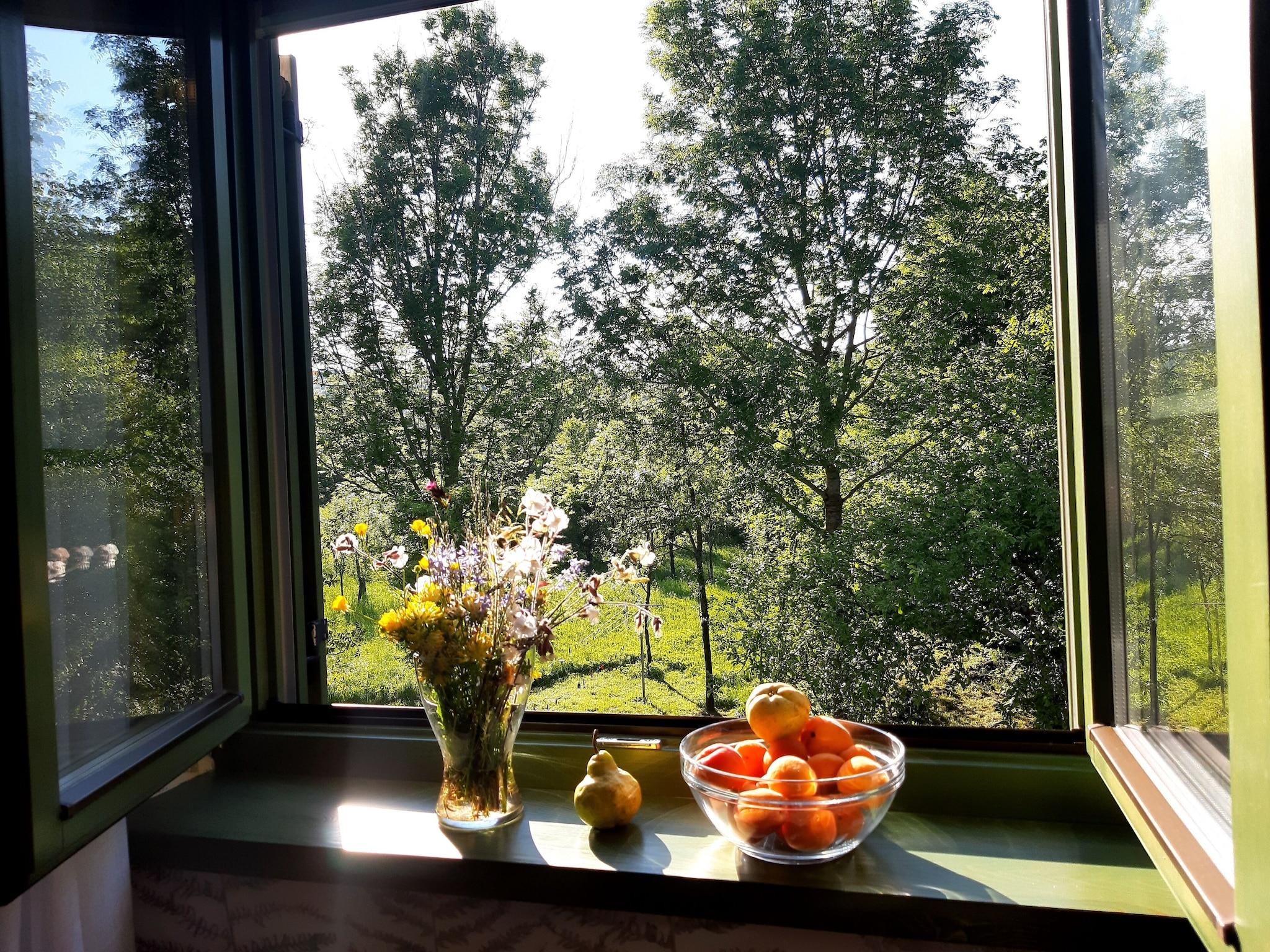 Apartment Queen Size Bed