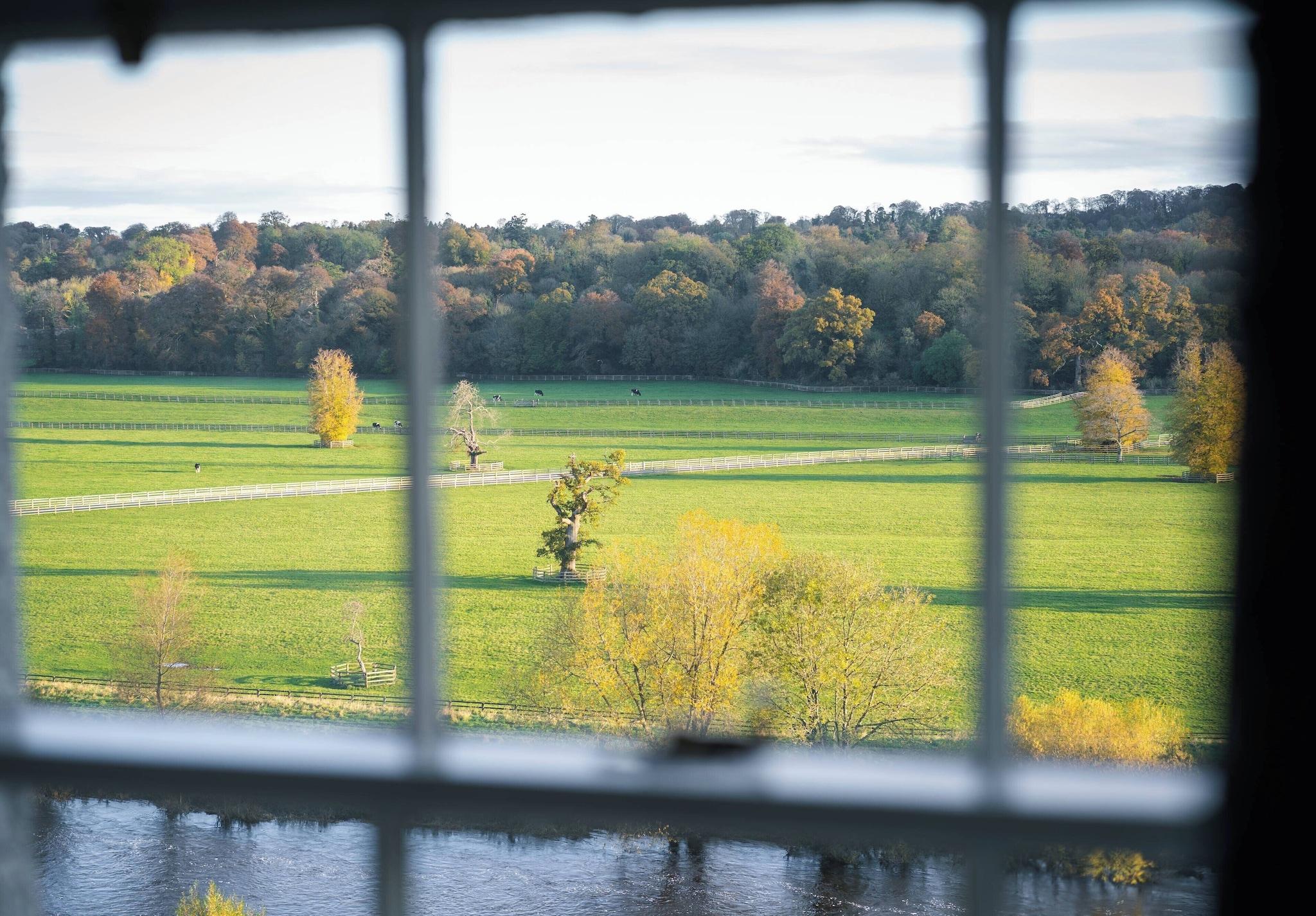 House Premium with Views