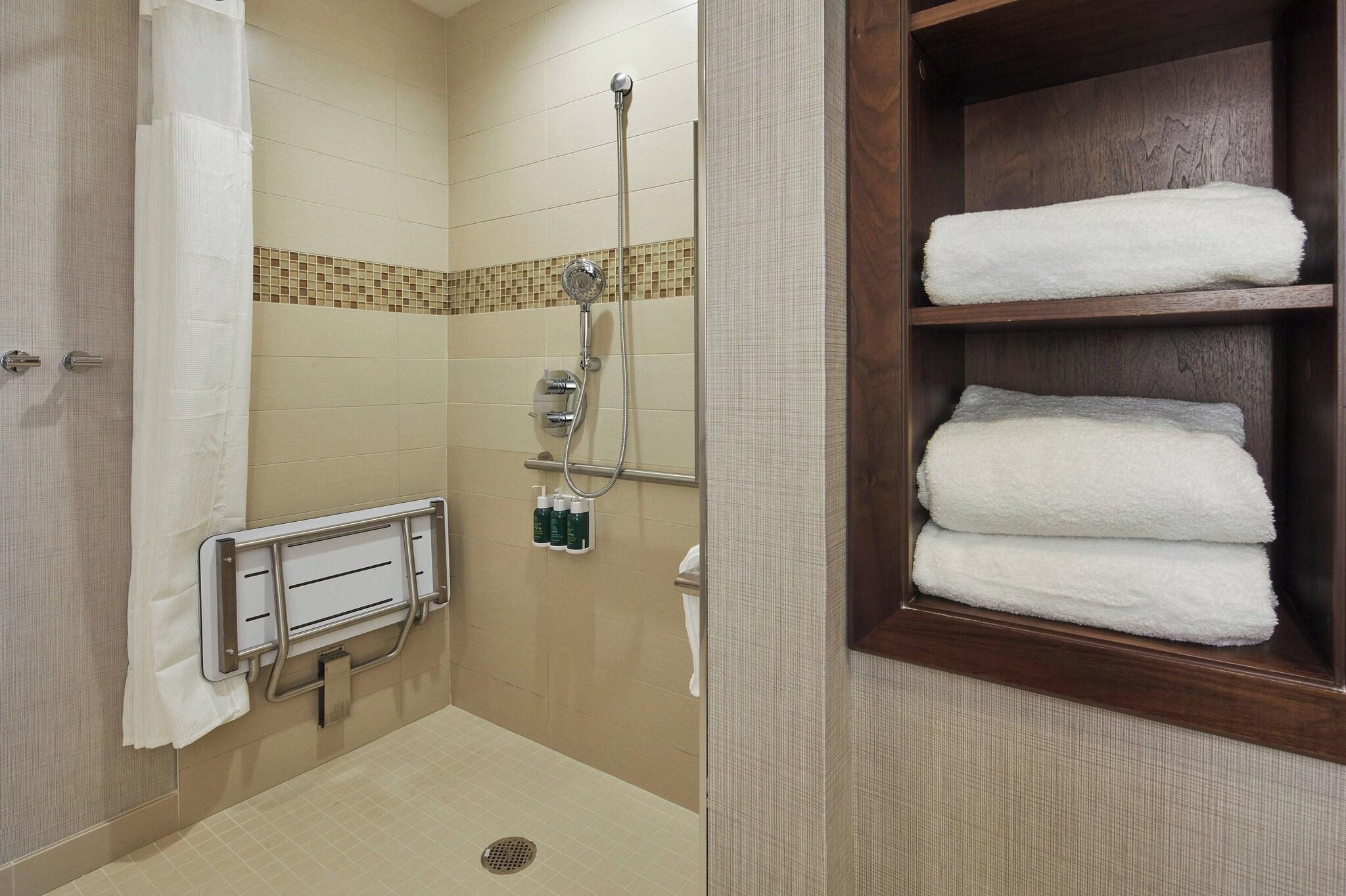 Suite King Bed One Bedroom 