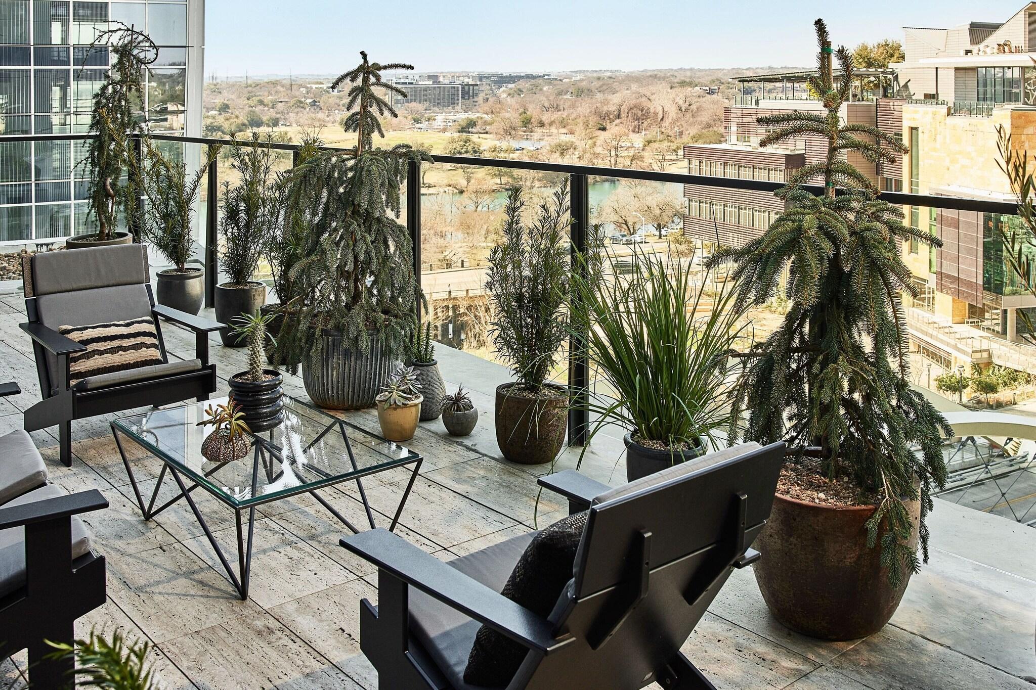 Suite King Bed One Bedroom 