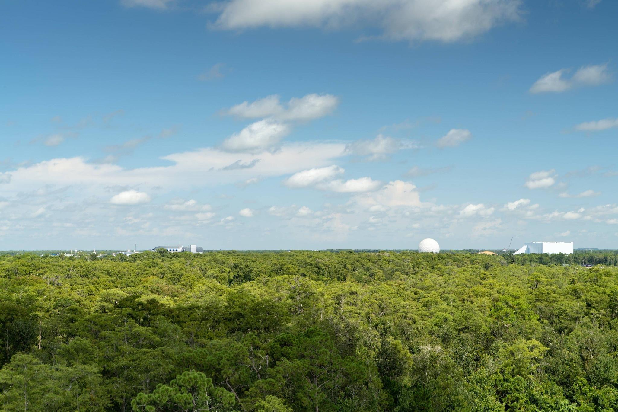 Double Accessible with Views