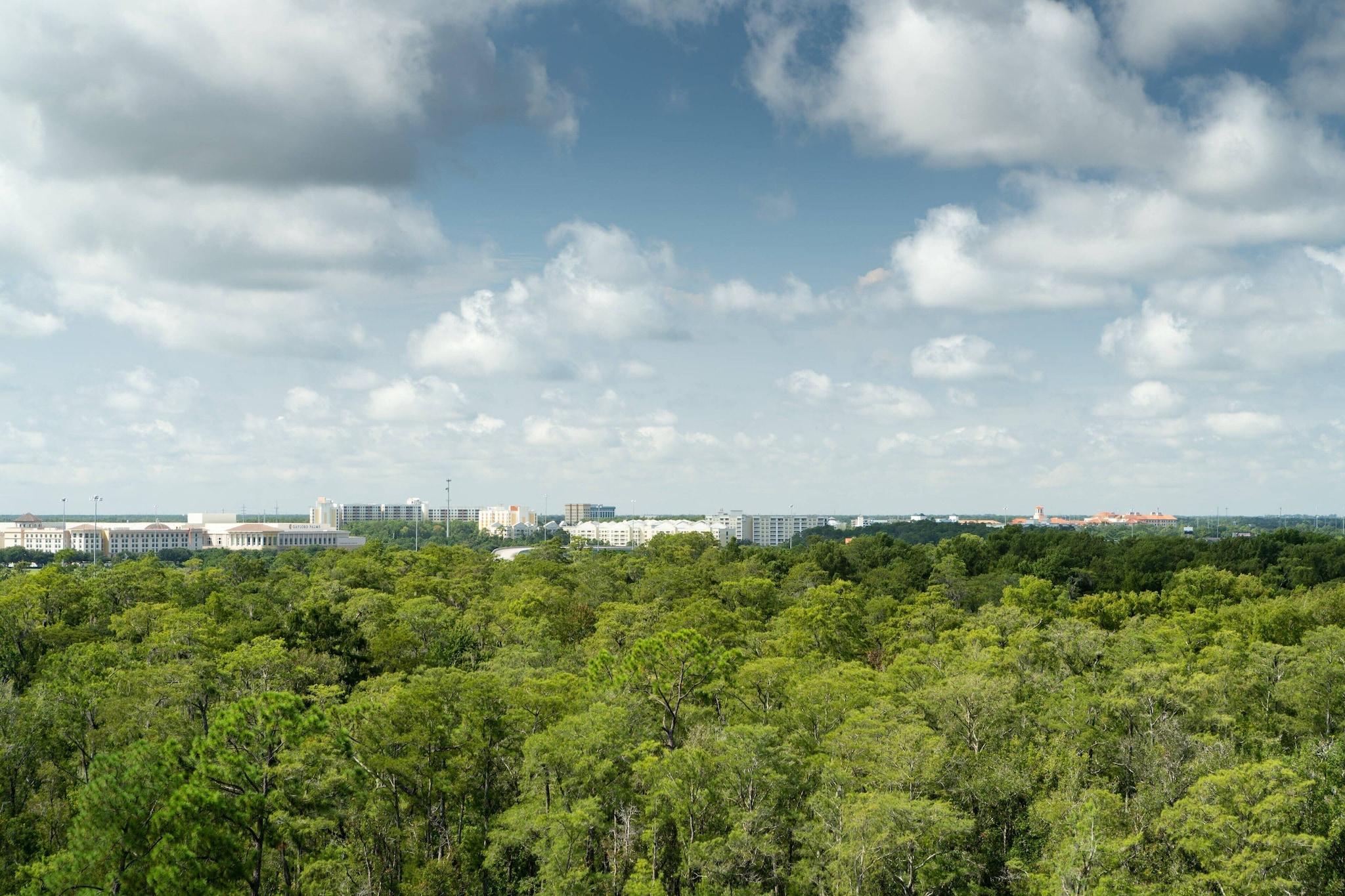 Double Accessible with Views