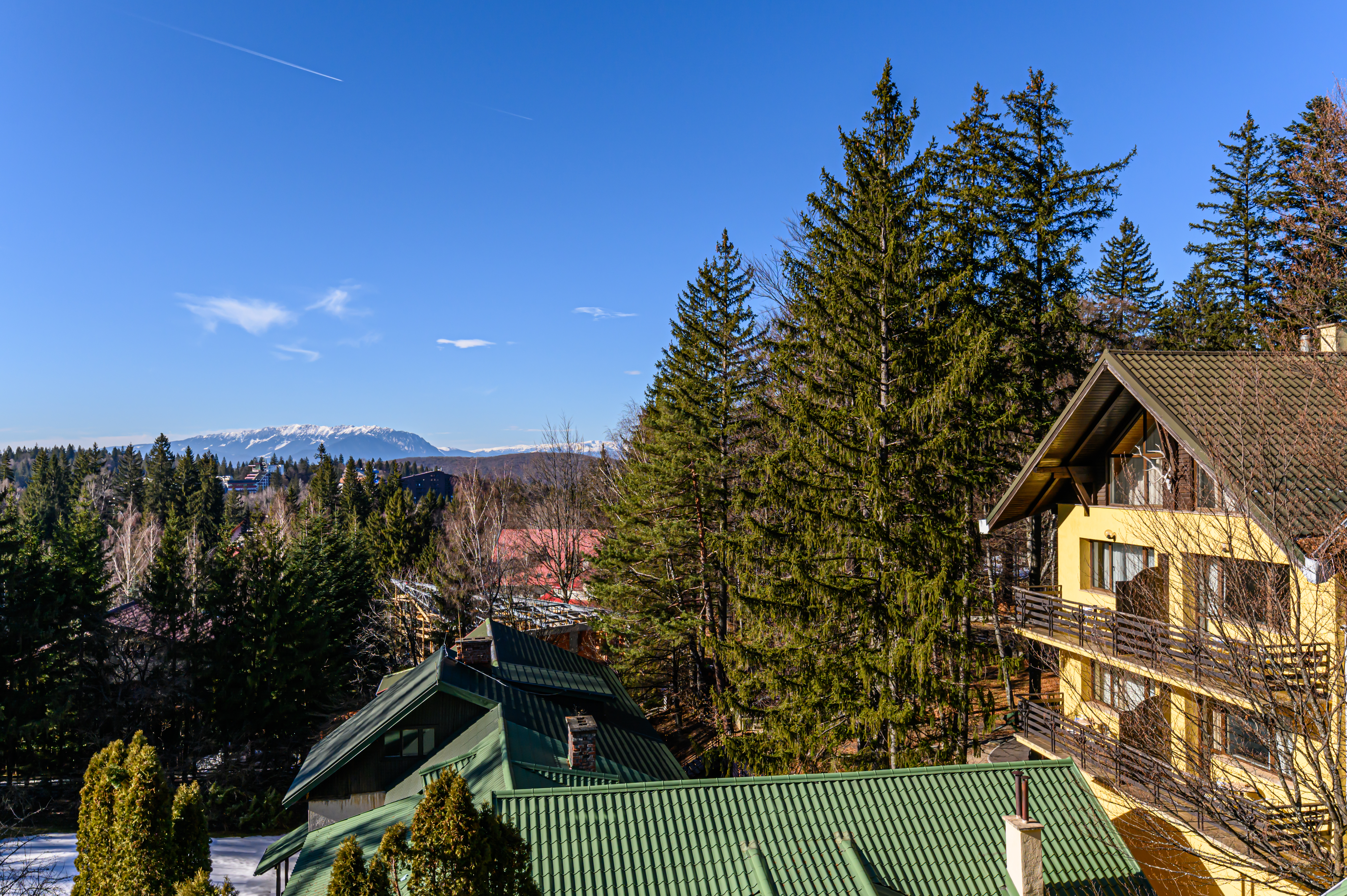 Family Room Mountain View