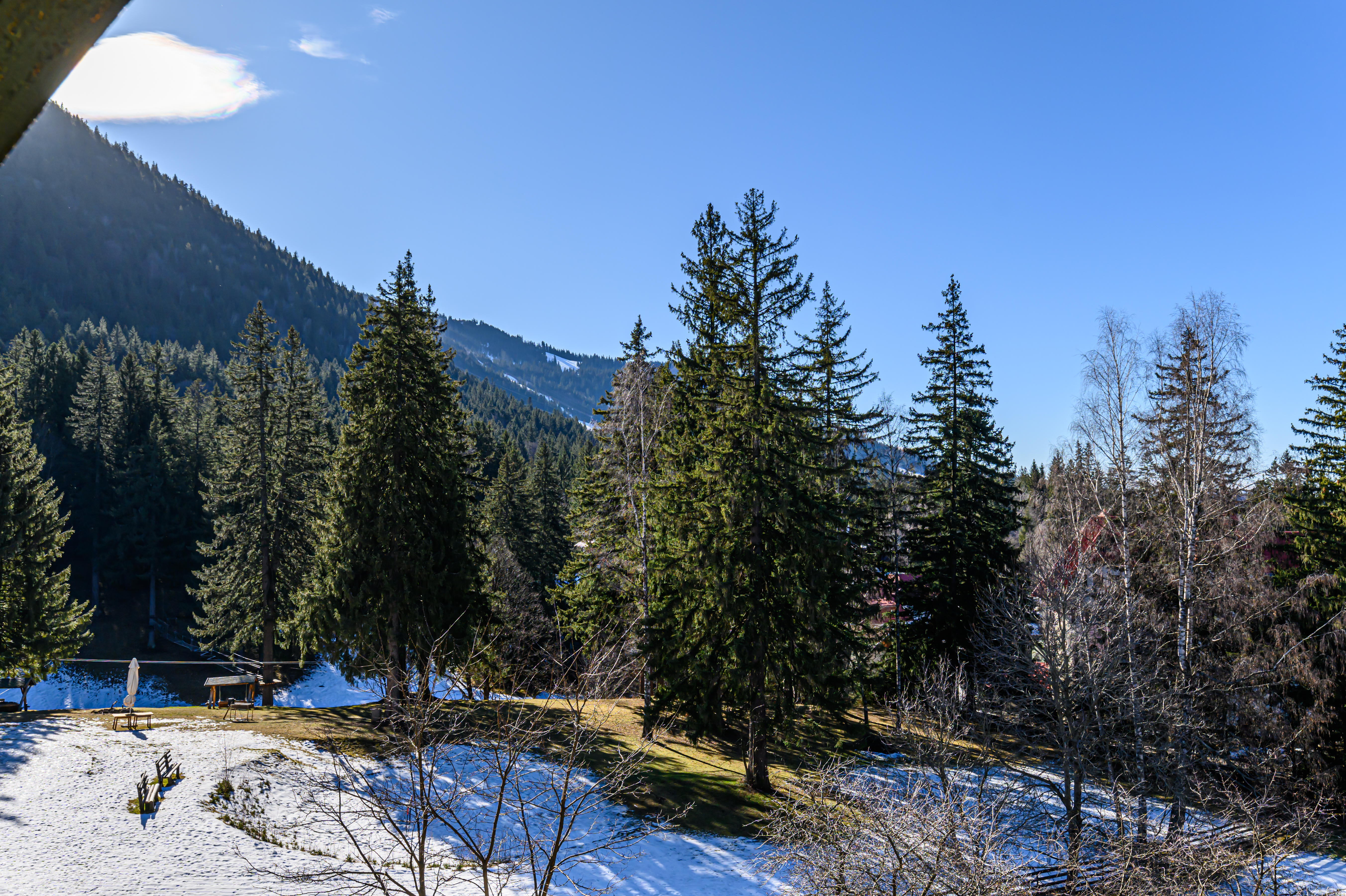 Family Room Mountain View