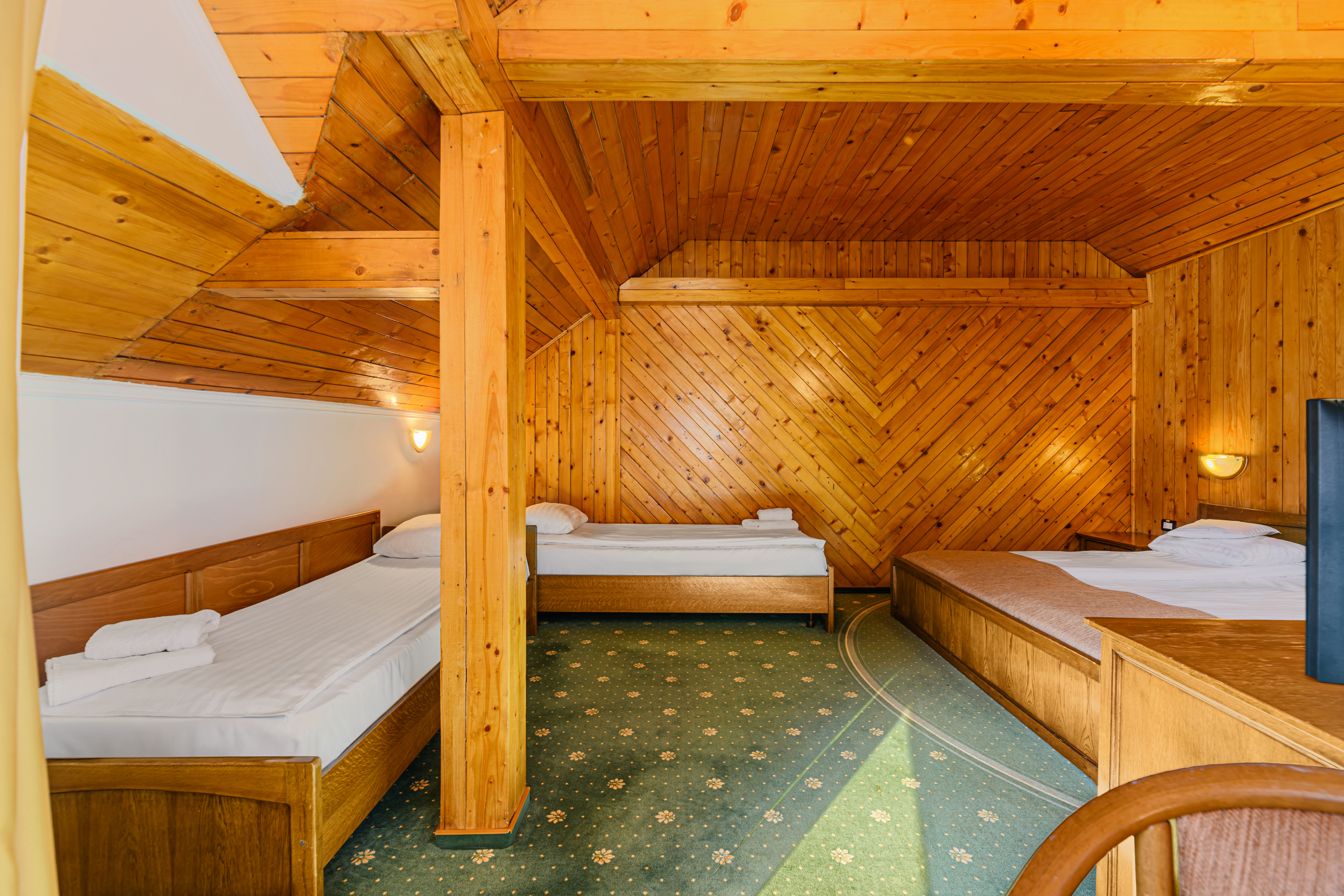 Family Room Mountain View