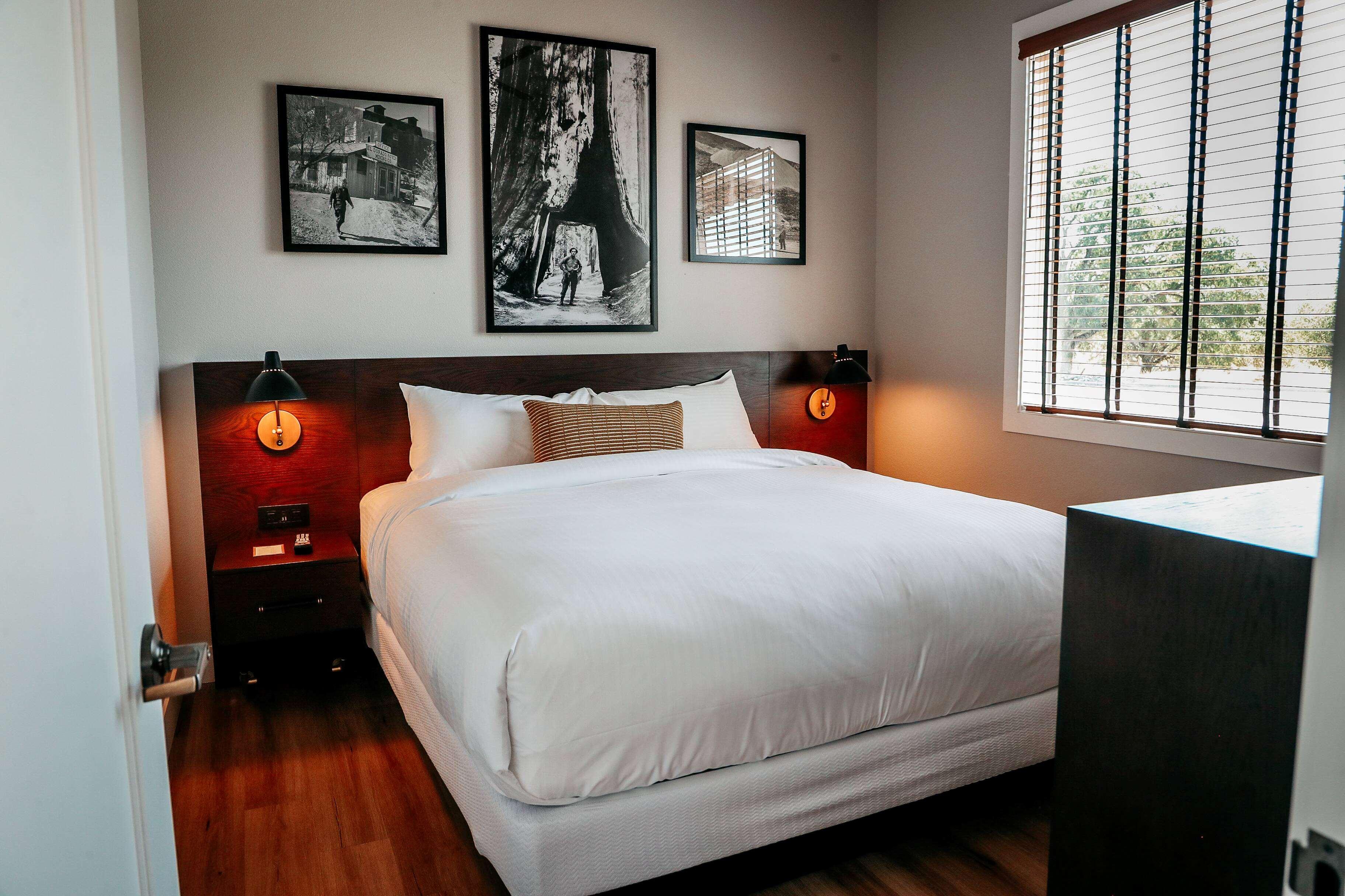 Room Accessible King Size Bed