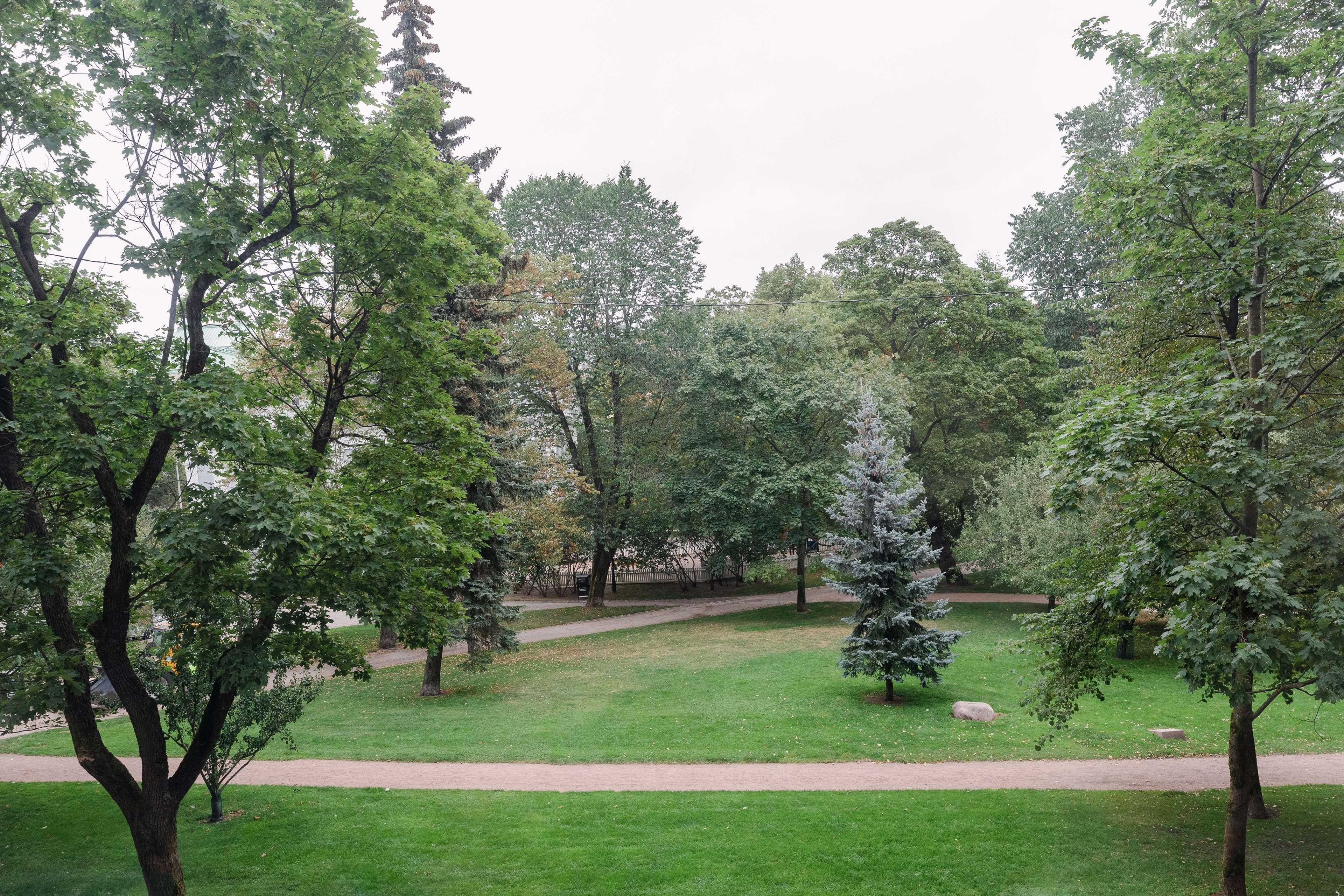 Double Superior King Bed