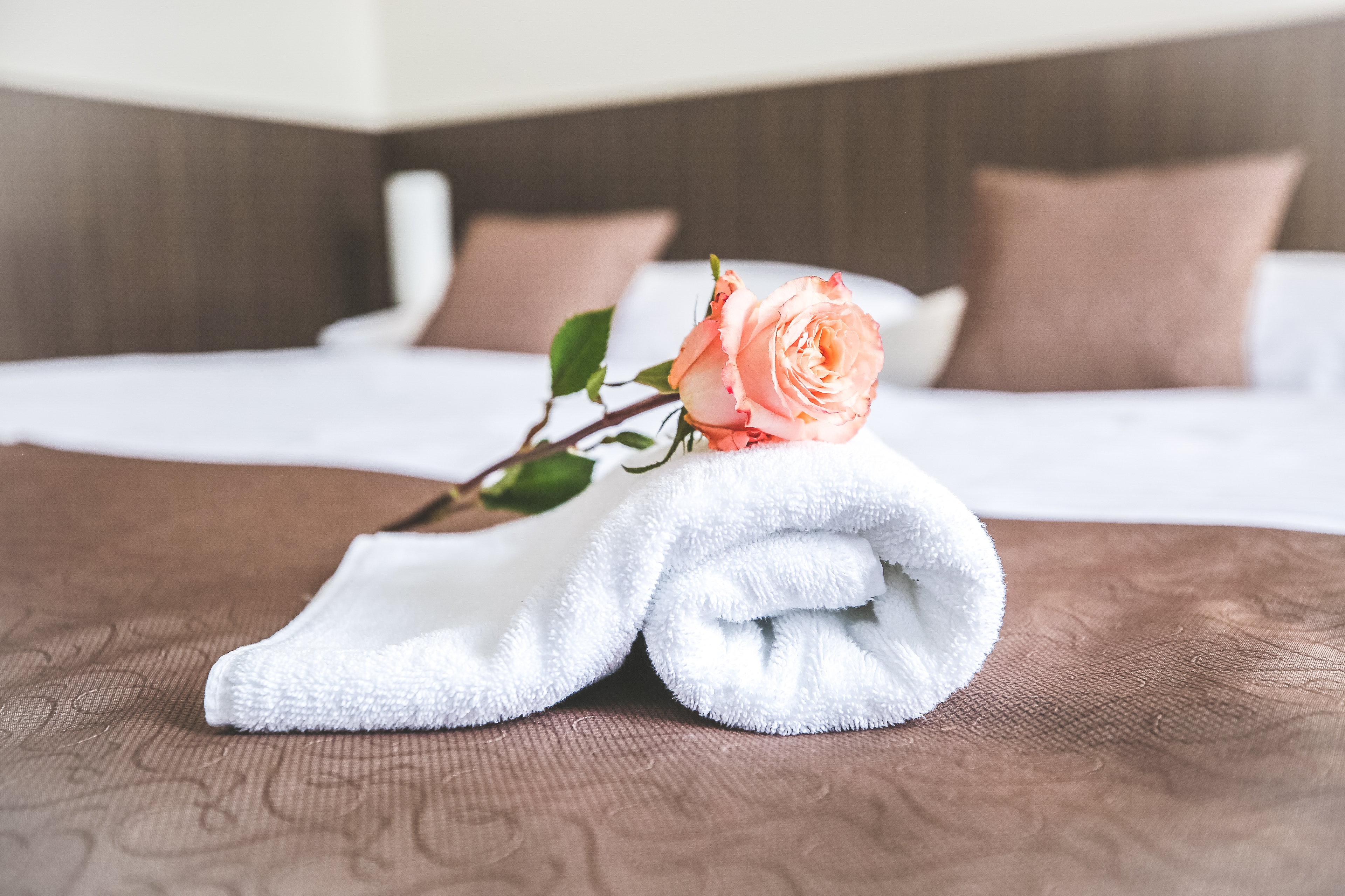 Double or Twin Superior