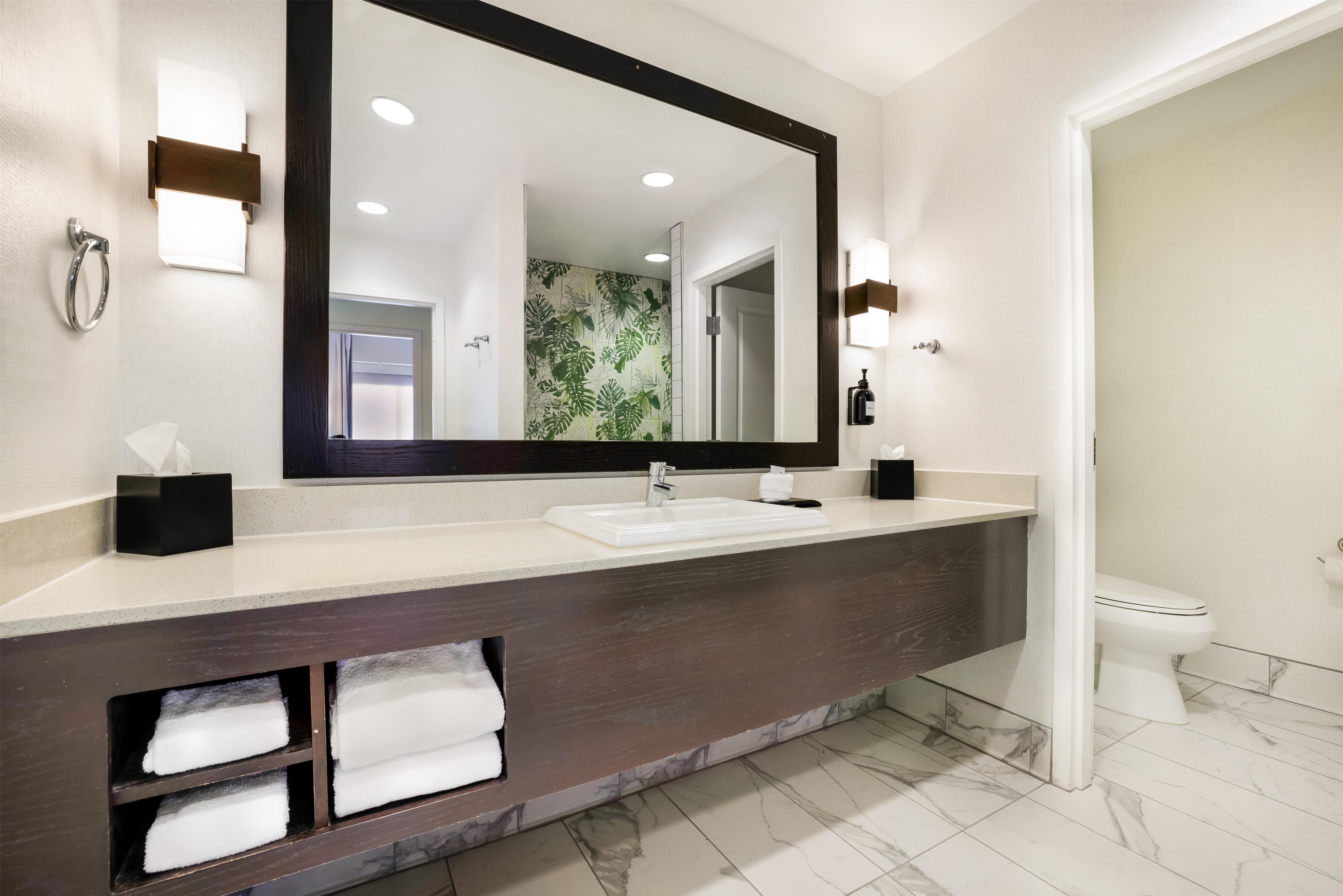 Suite King Bed One Bedroom 