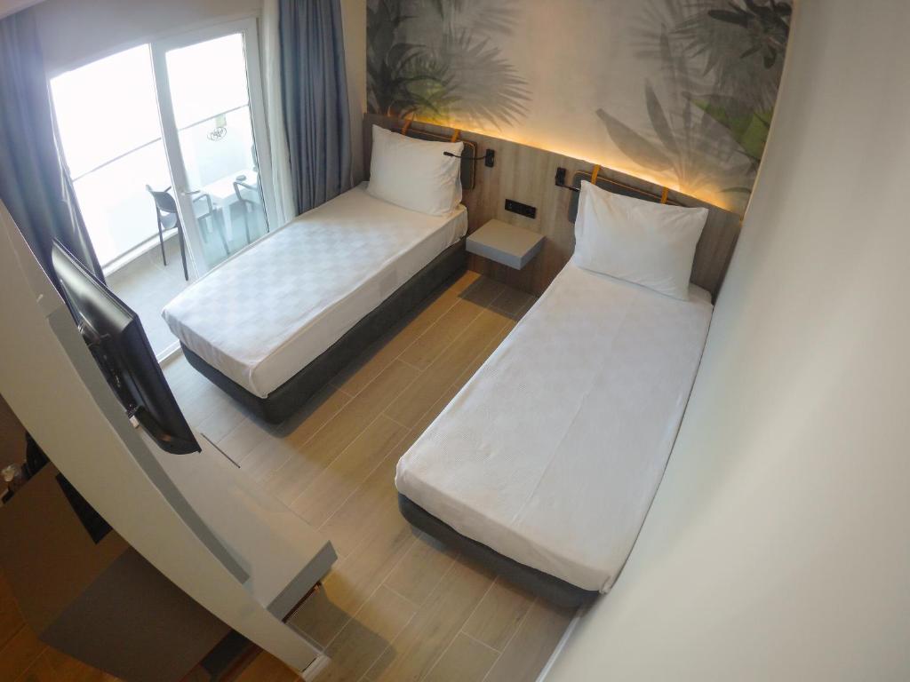 Double or Twin Presidential