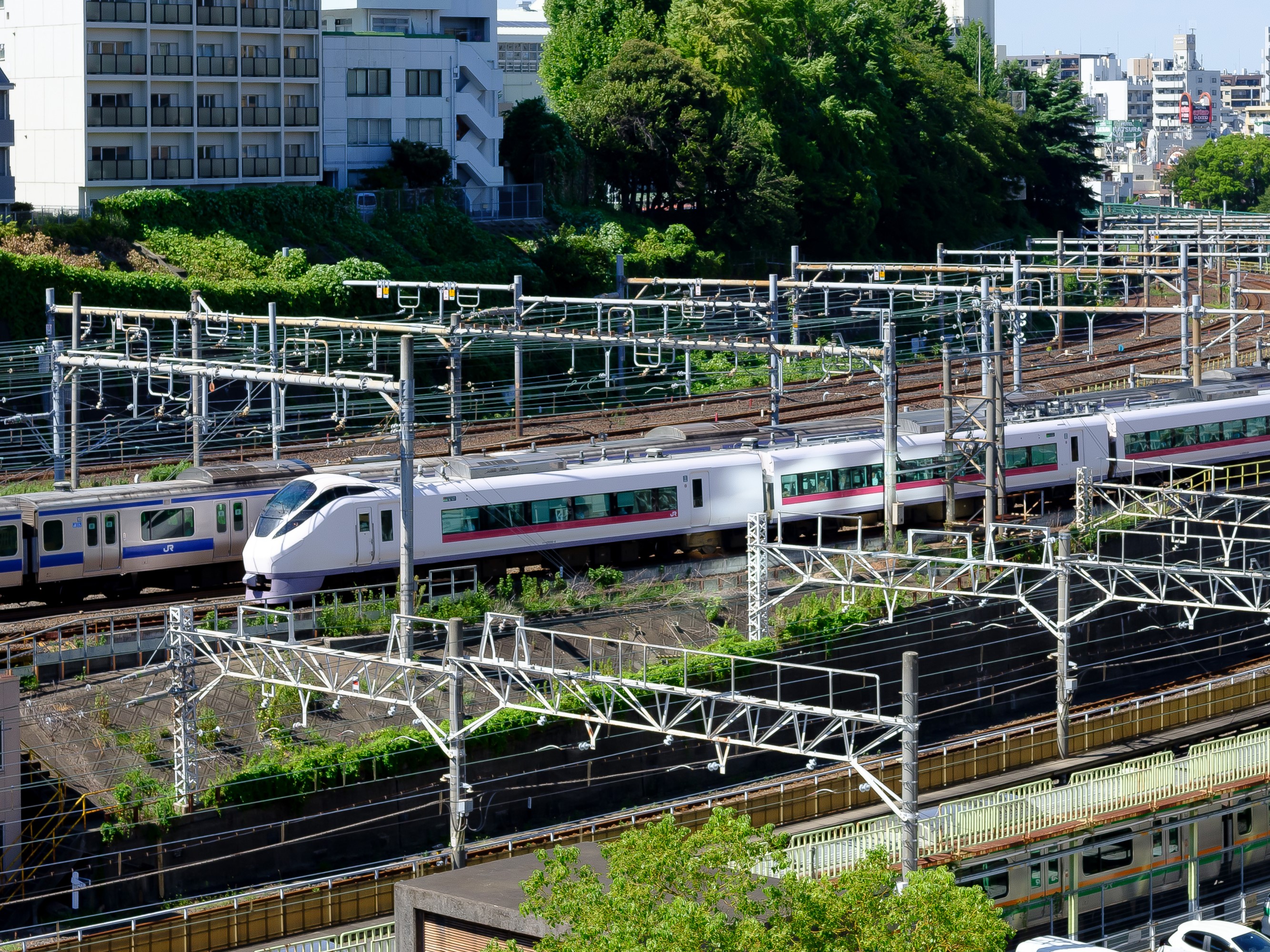 Family Room Standard