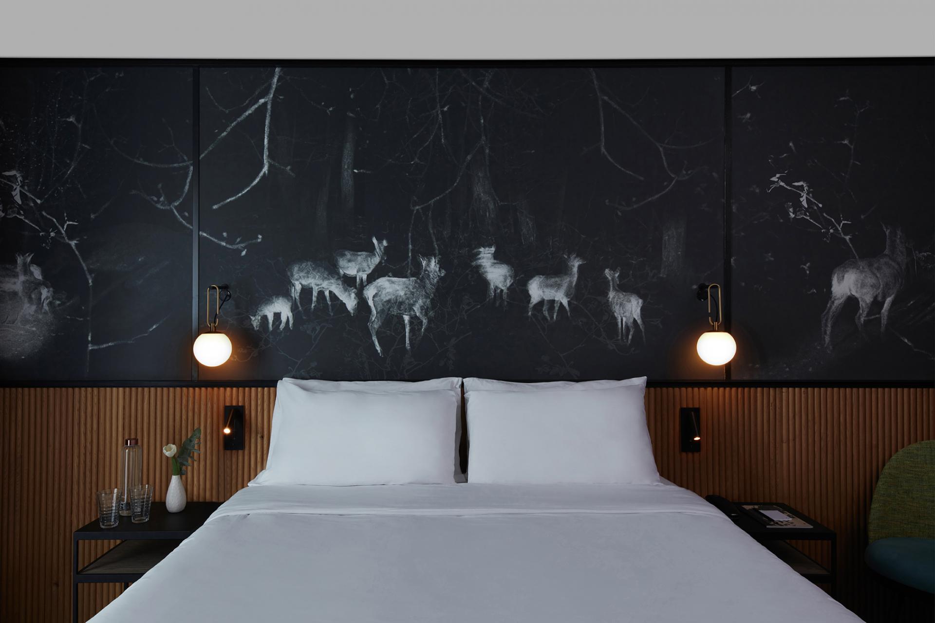 Double or Twin Superior