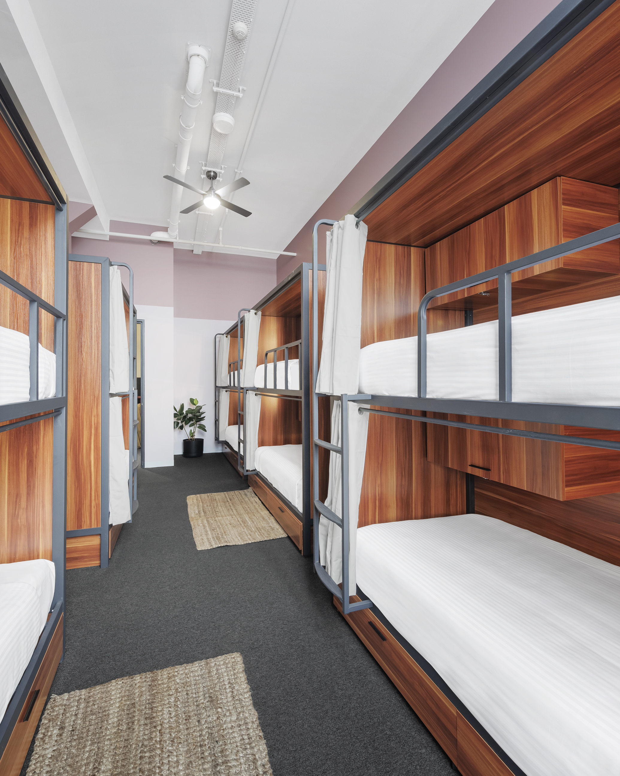 Bed in Dormitory Bunk Bed