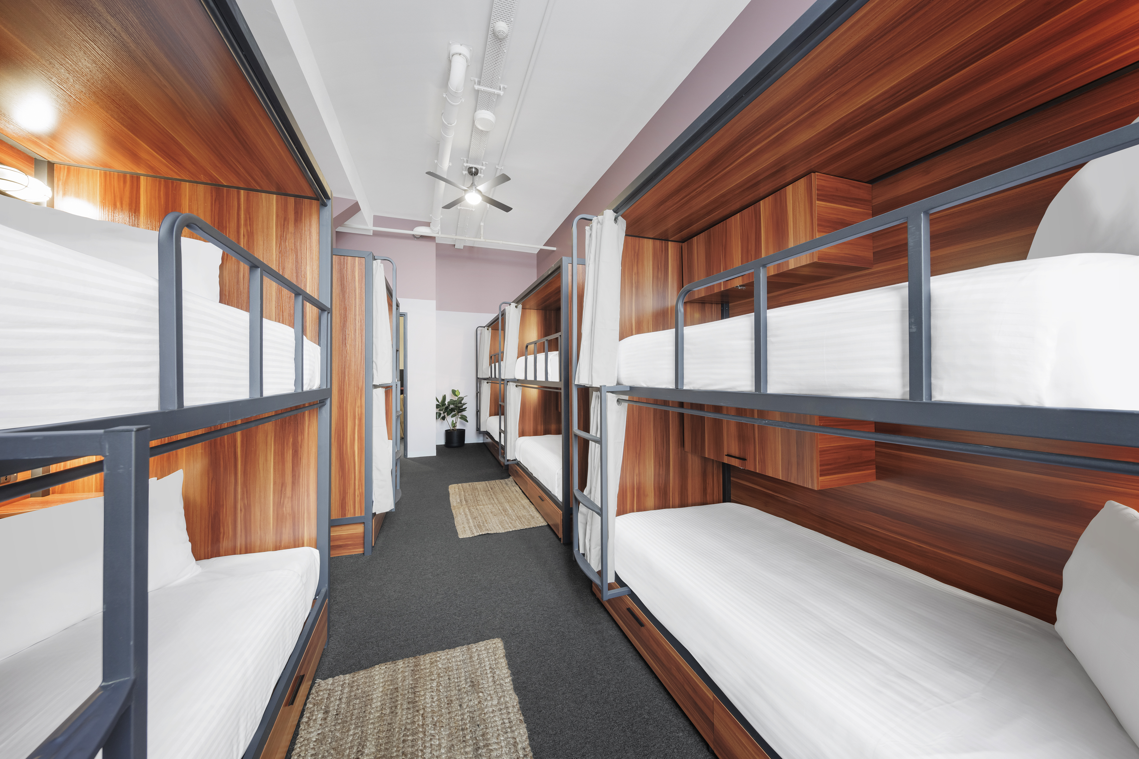 Bed in Dormitory Bunk Bed