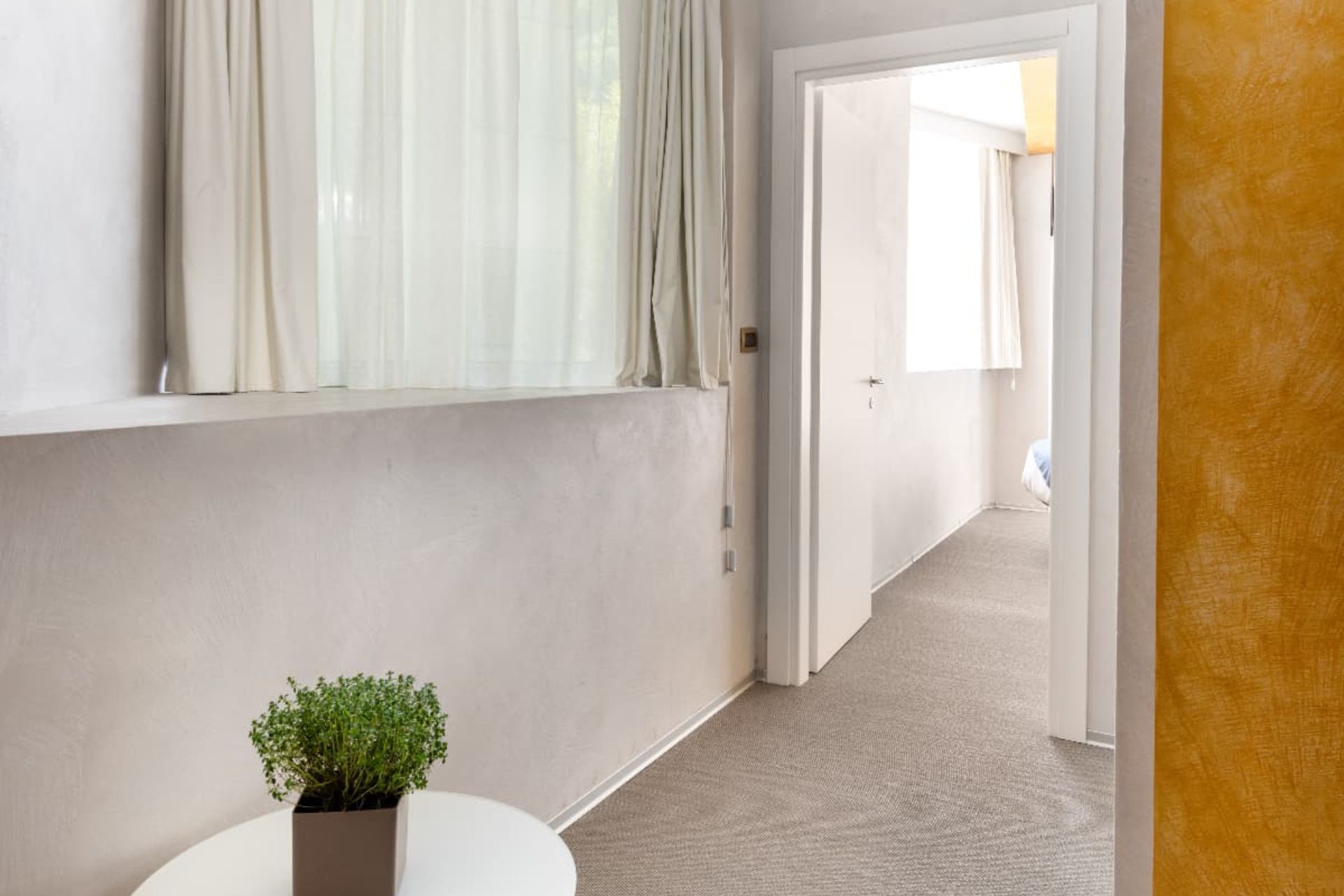 Suite Superior