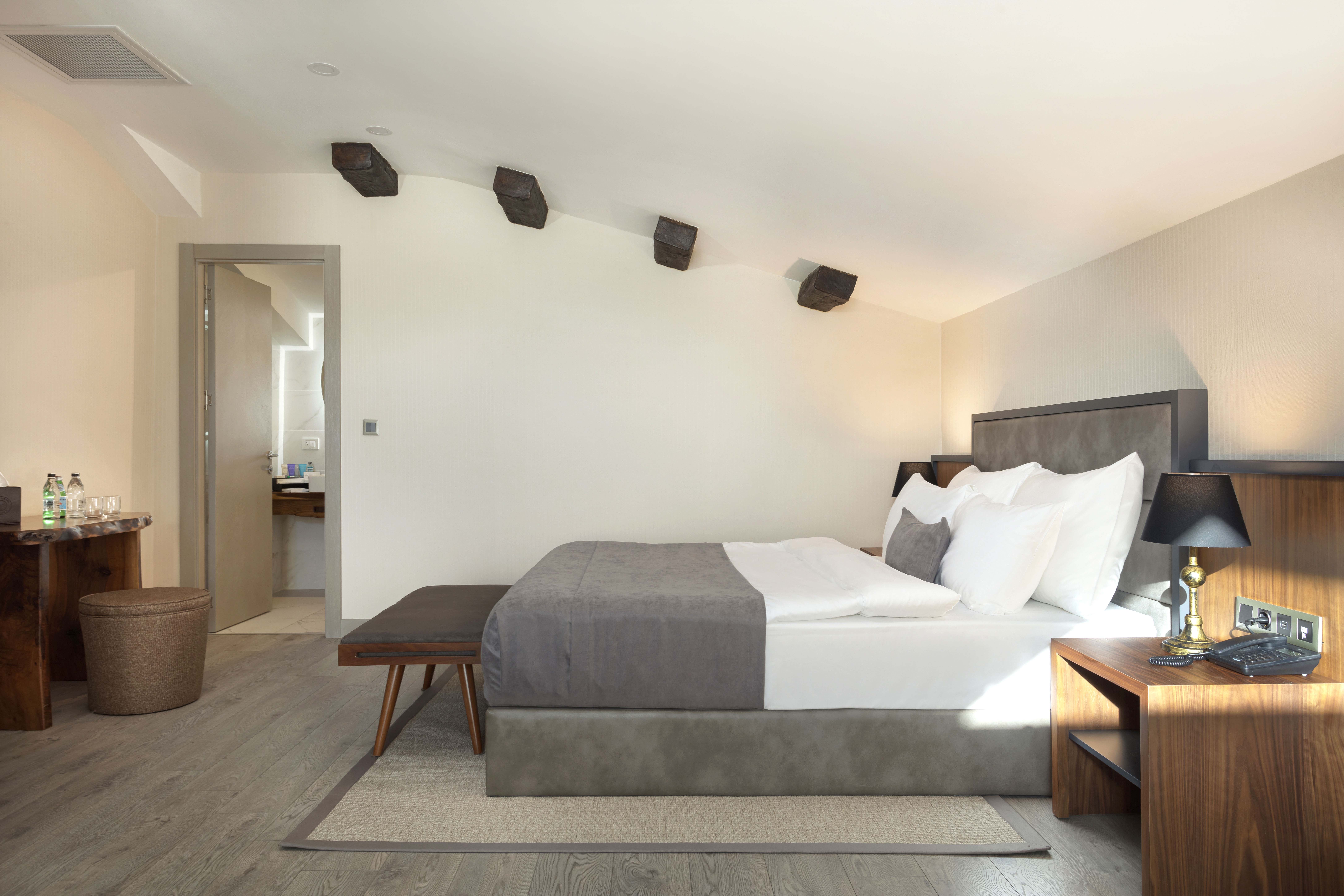 Suite Deluxe with Terrace