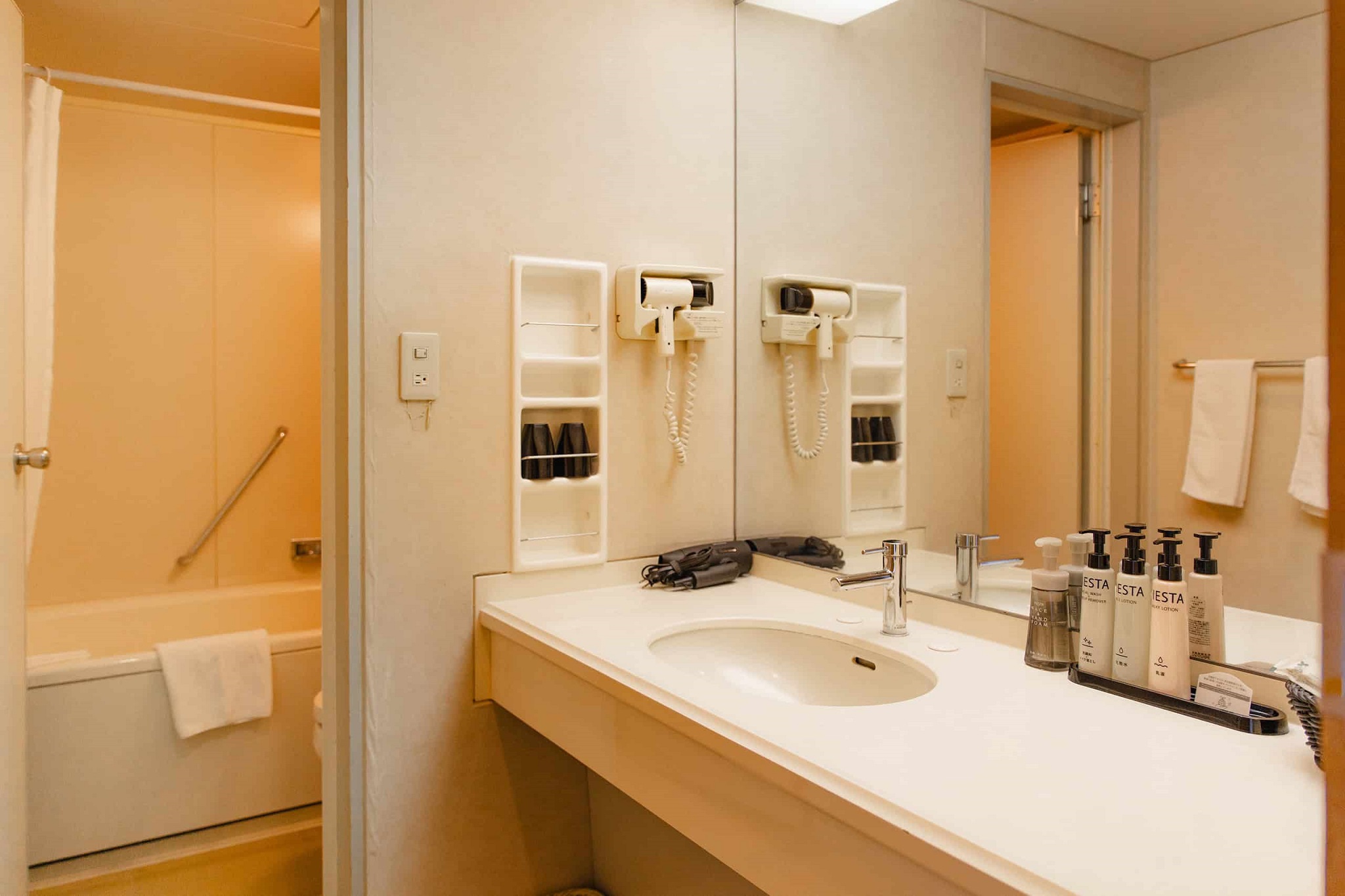 Family Room Japanese Room